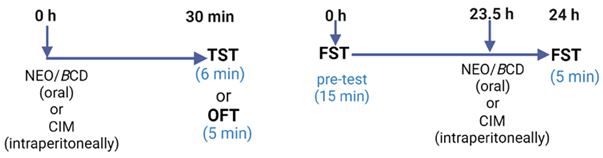 Ijms 25 08289 i002 Ijms 25 08289 i002