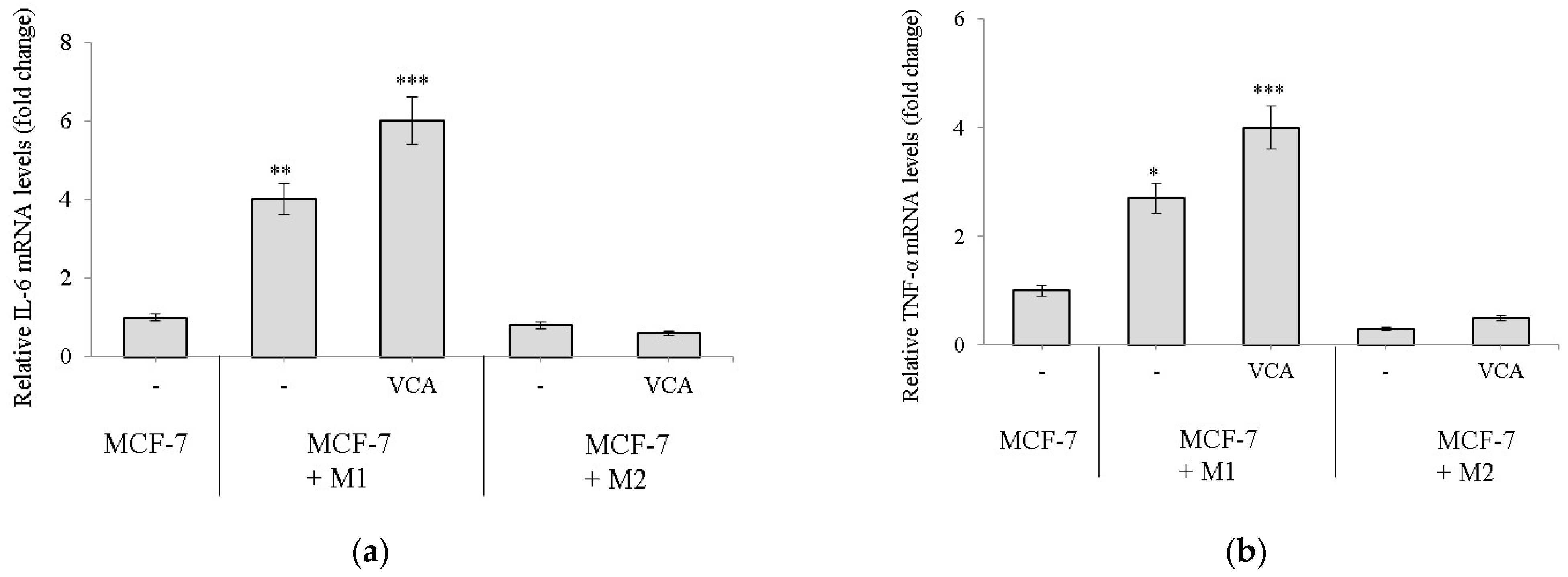 Ijms 25 08459 g003a Ijms 25 08459 g003a