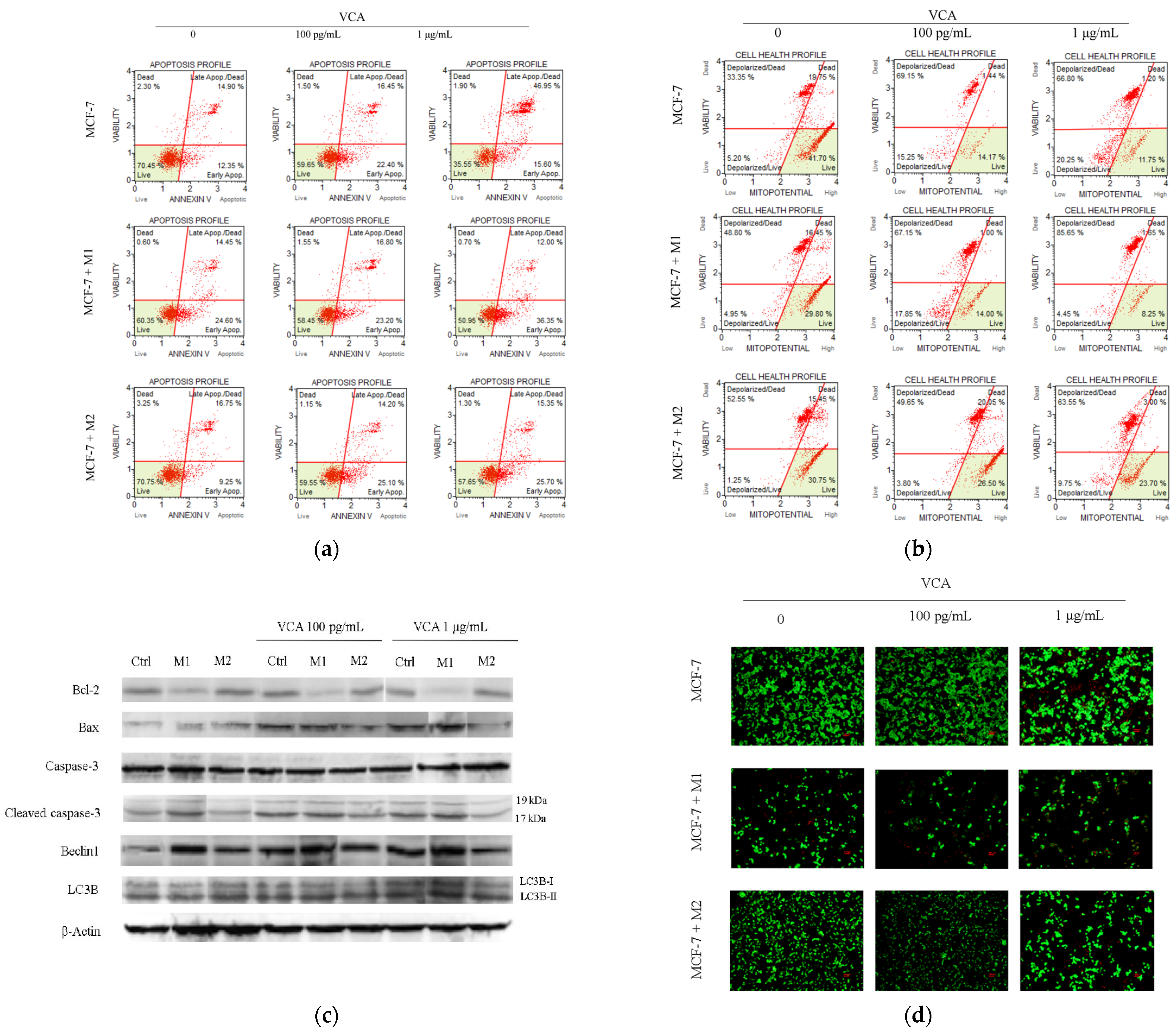 Ijms 25 08459 g004 Ijms 25 08459 g004