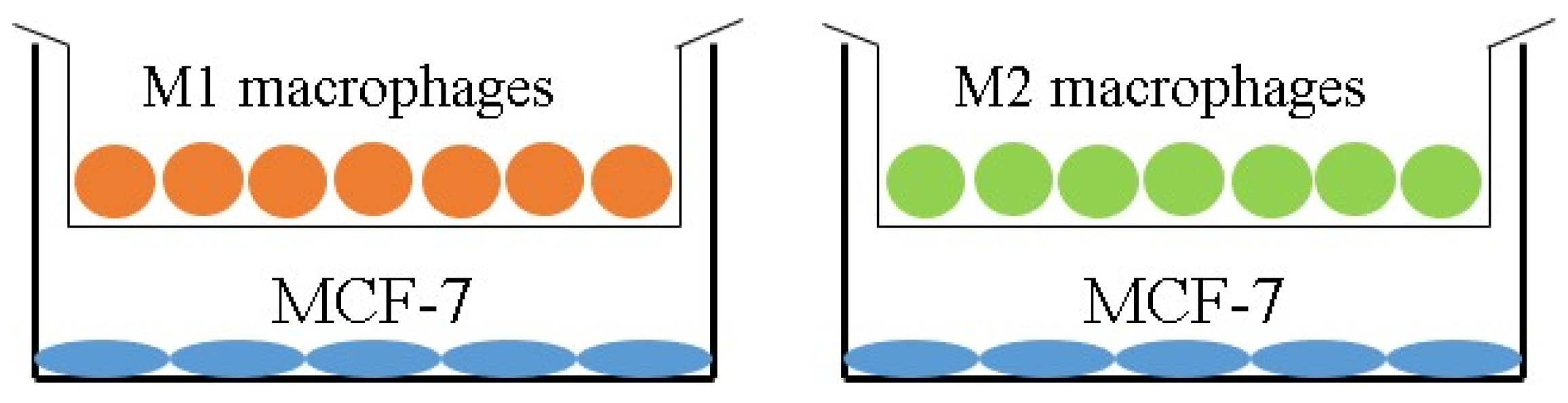 Ijms 25 08459 g008 Ijms 25 08459 g008