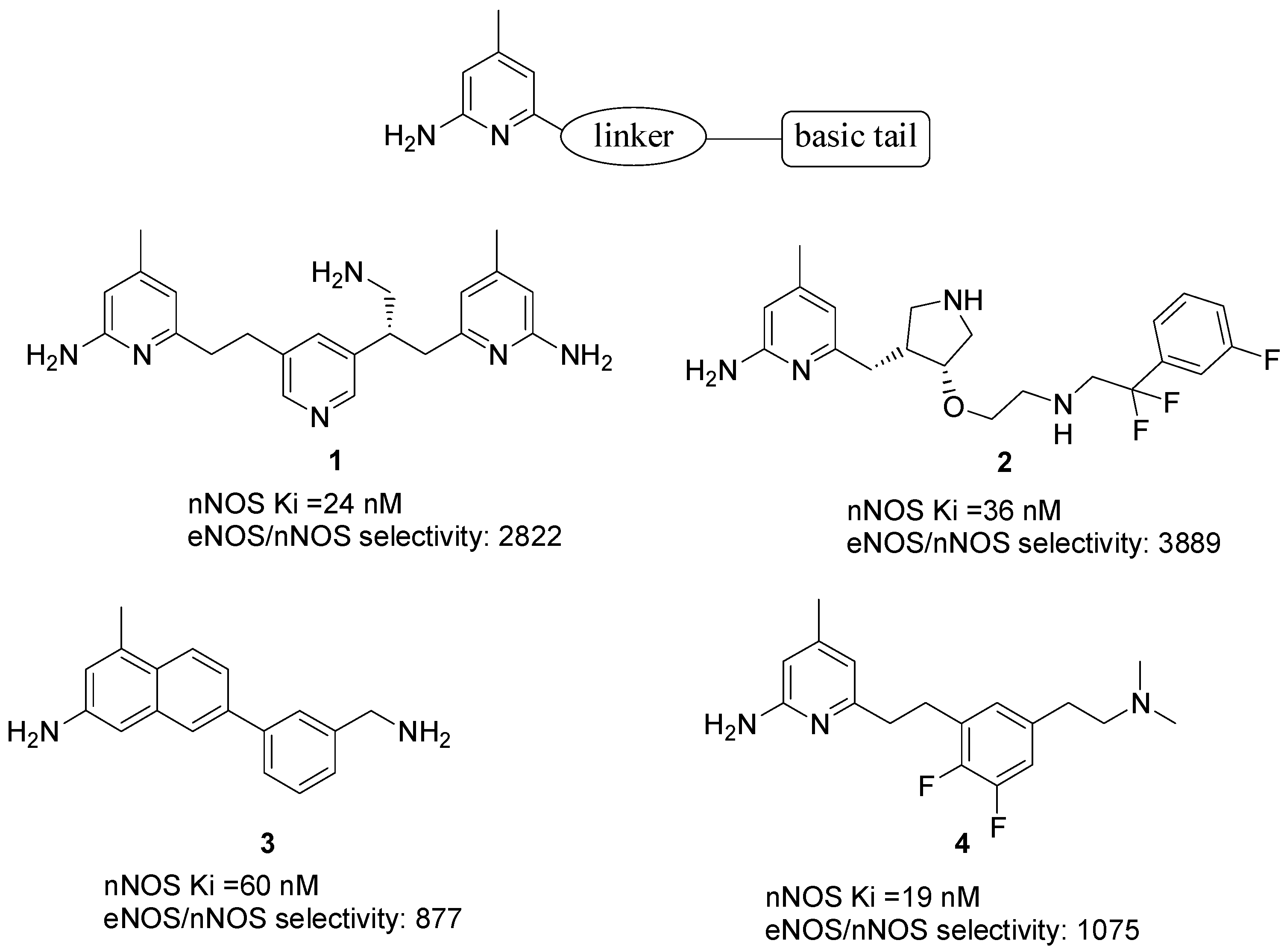 Ijms 25 08486 g004