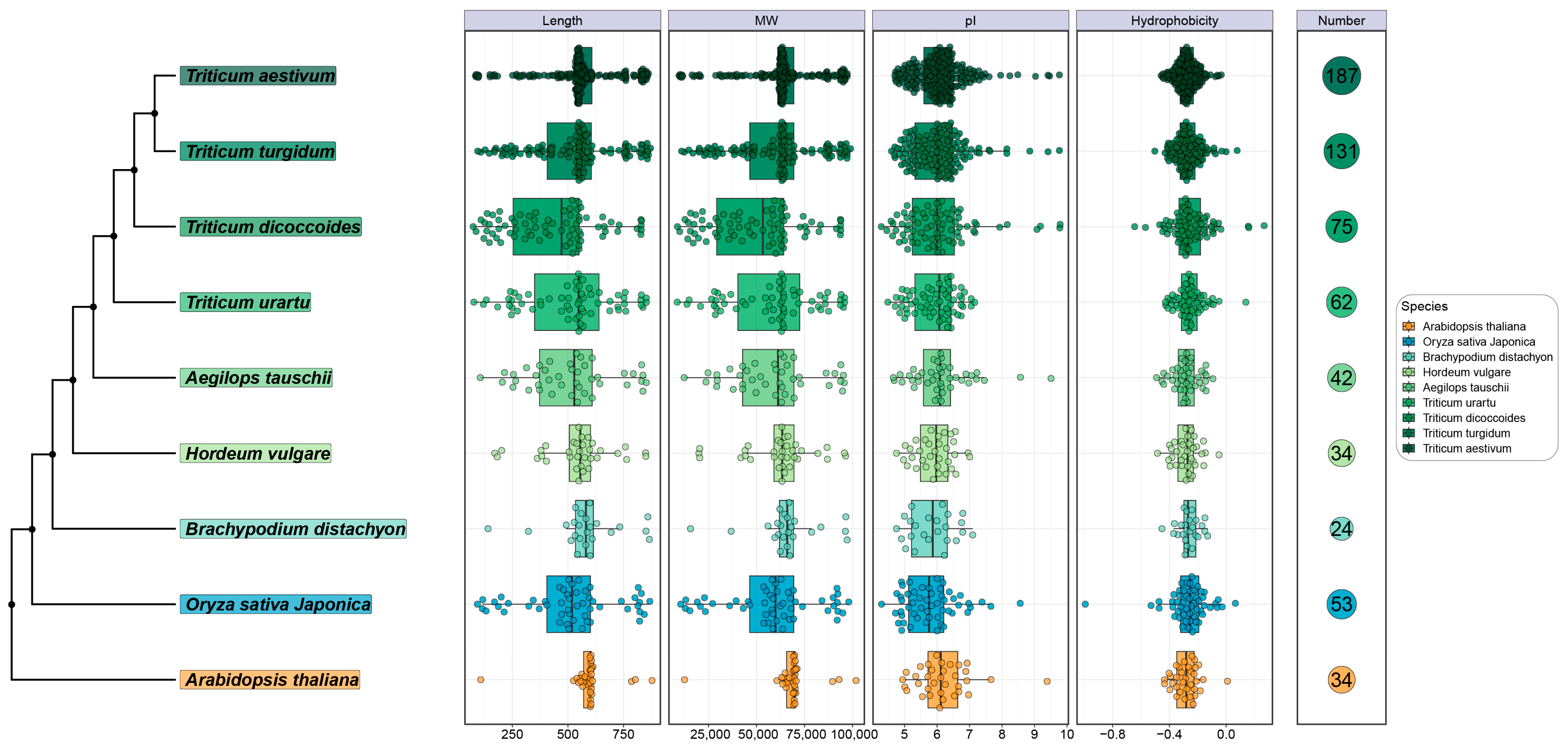 Ijms 25 08546 g001 Ijms 25 08546 g001