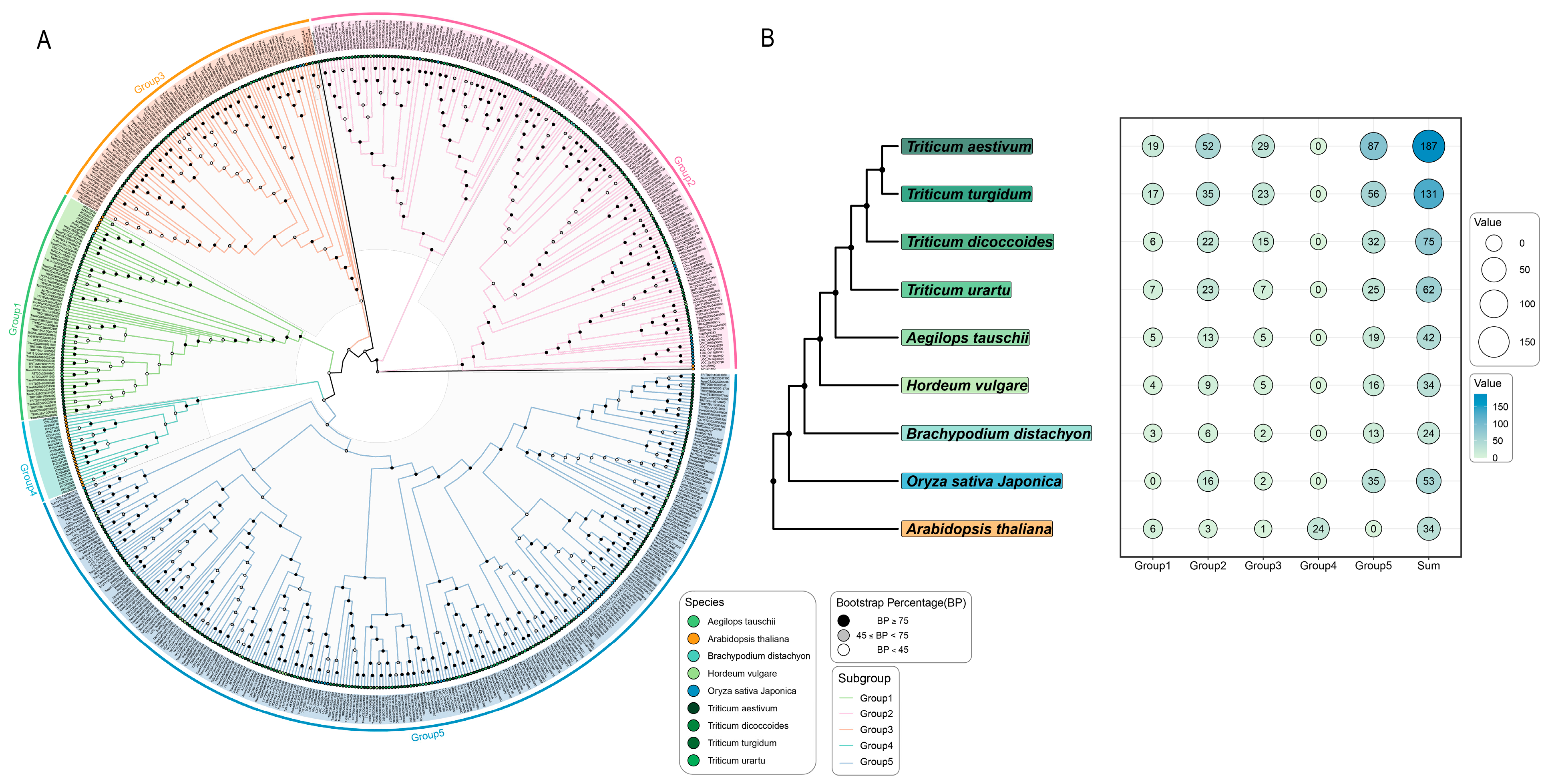 Ijms 25 08546 g002 Ijms 25 08546 g002