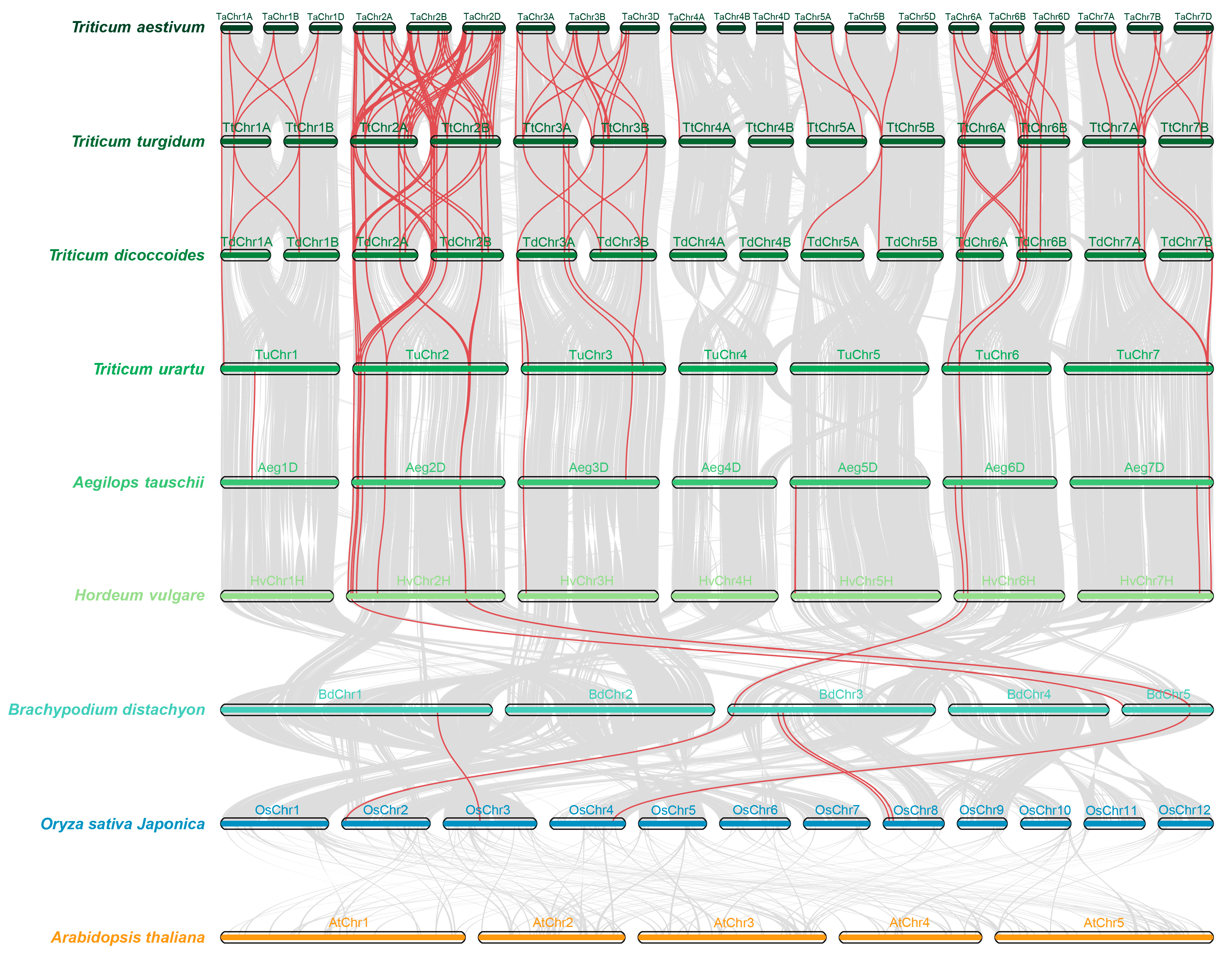 Ijms 25 08546 g004 Ijms 25 08546 g004