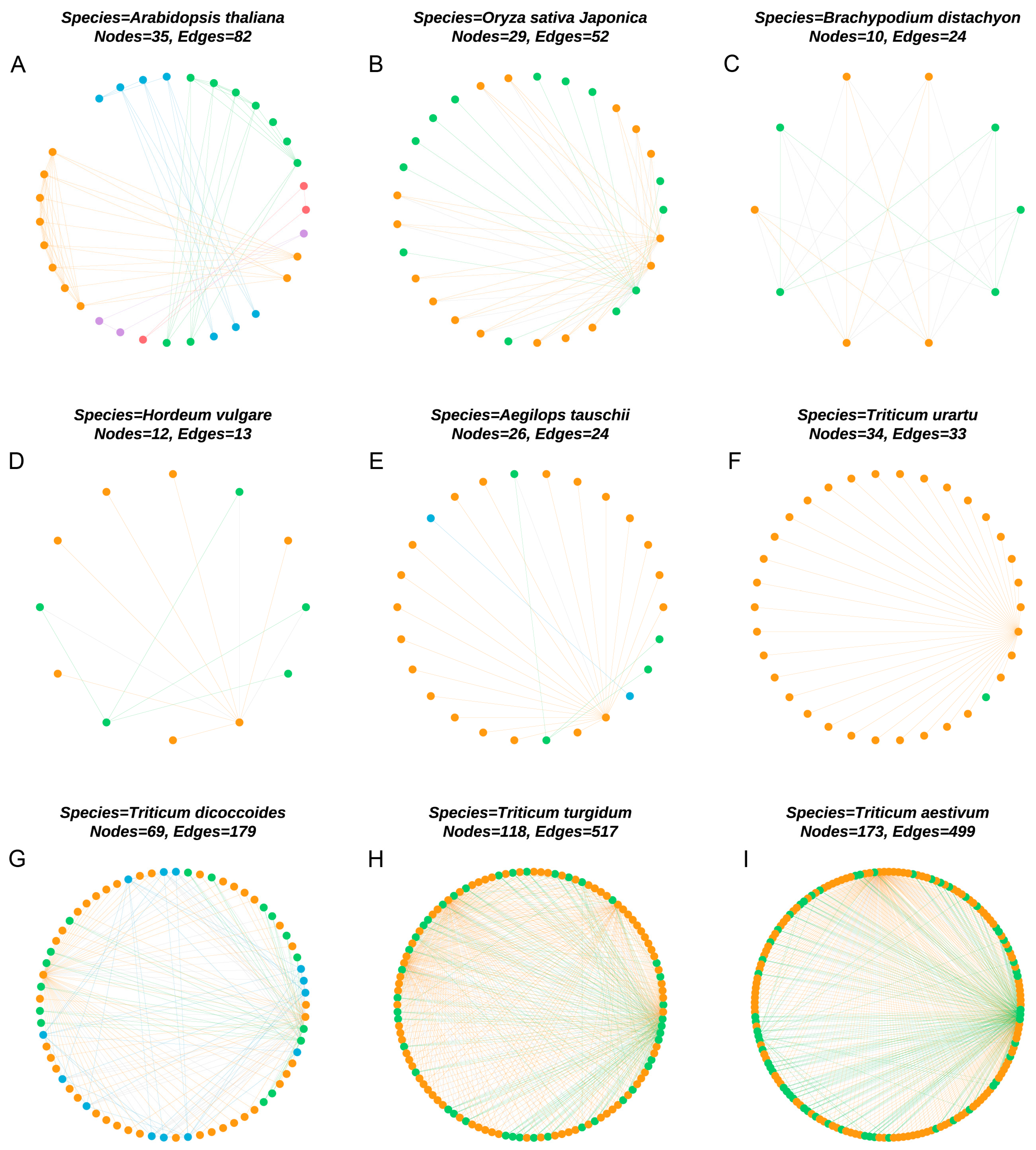 Ijms 25 08546 g006 Ijms 25 08546 g006