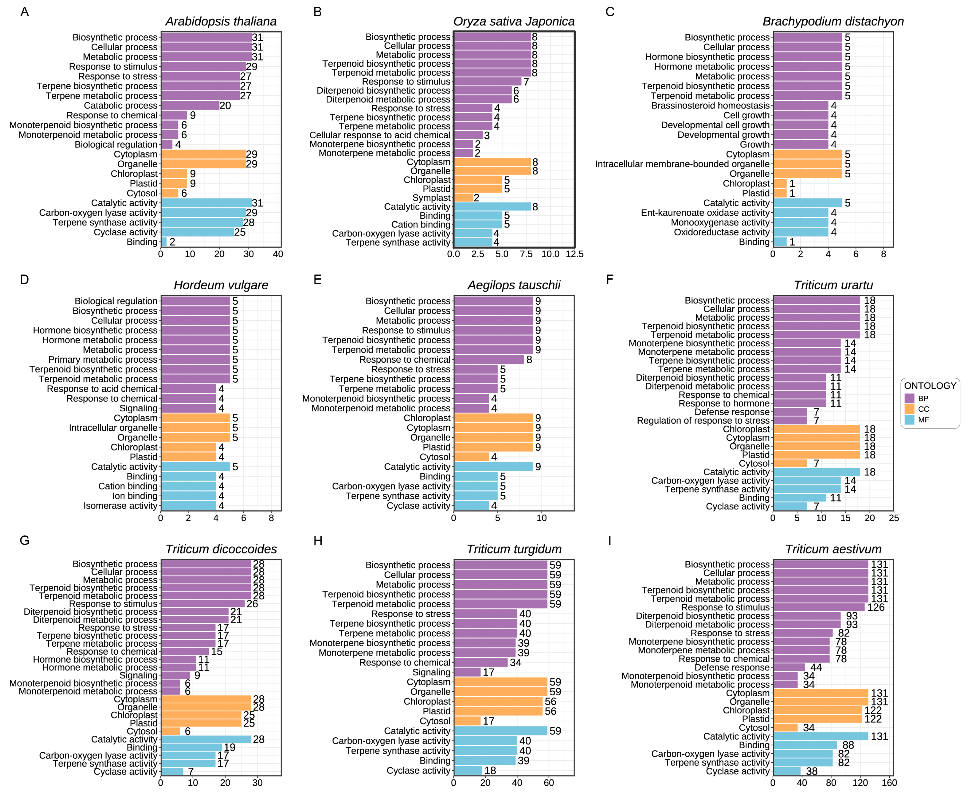 Ijms 25 08546 g007 Ijms 25 08546 g007