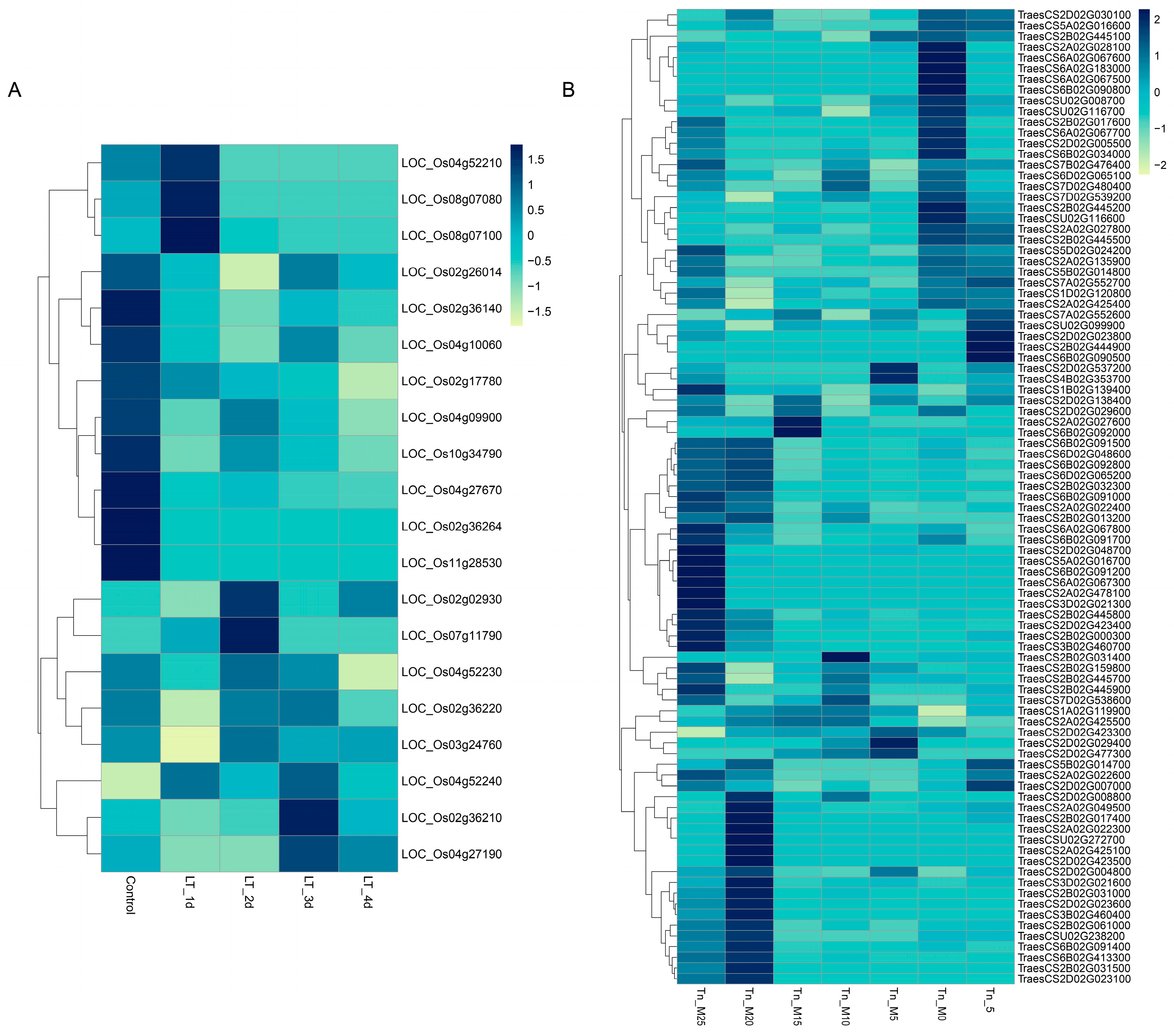 Ijms 25 08546 g008 Ijms 25 08546 g008