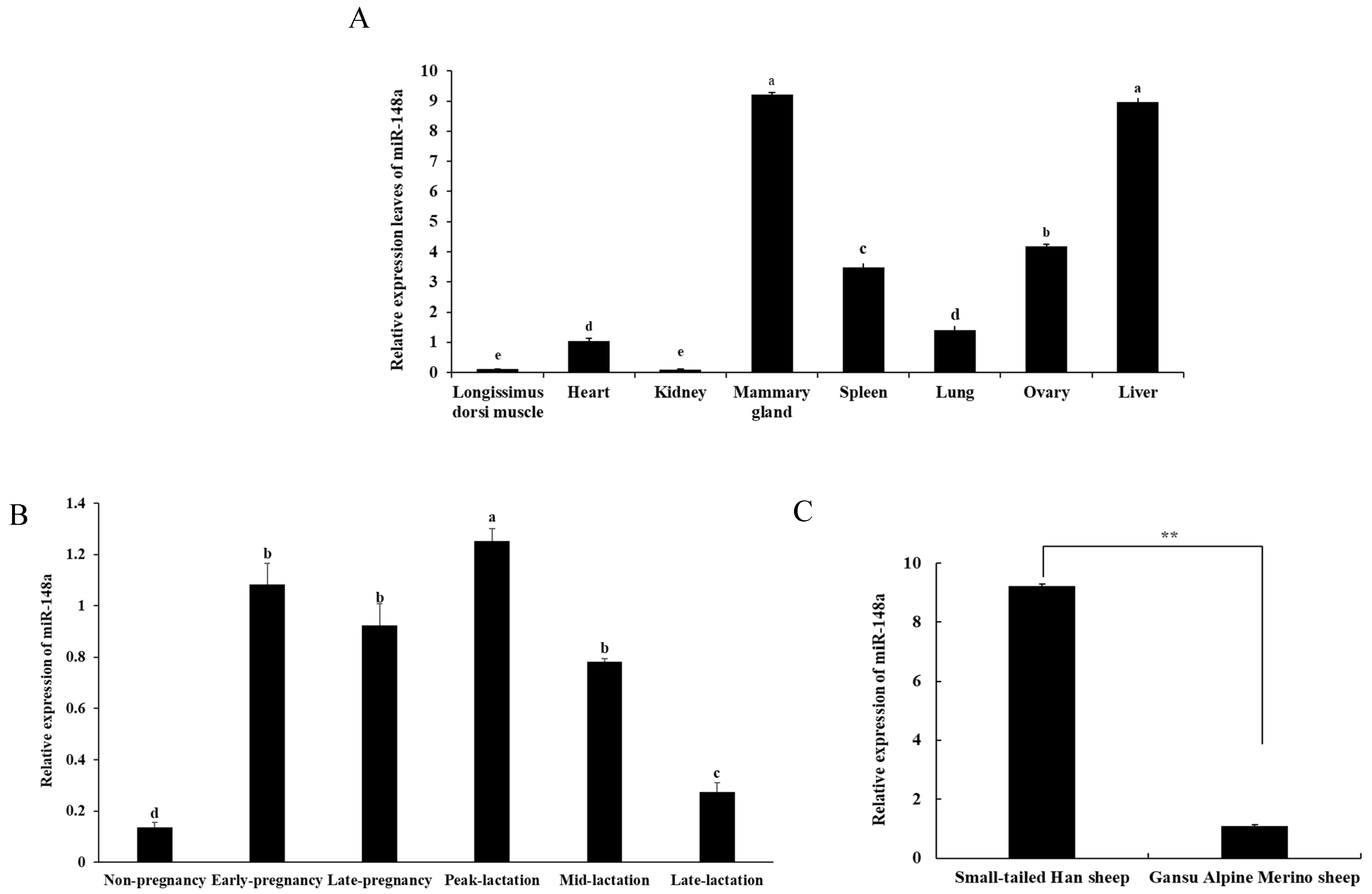 Ijms 25 08558 g001 Ijms 25 08558 g001