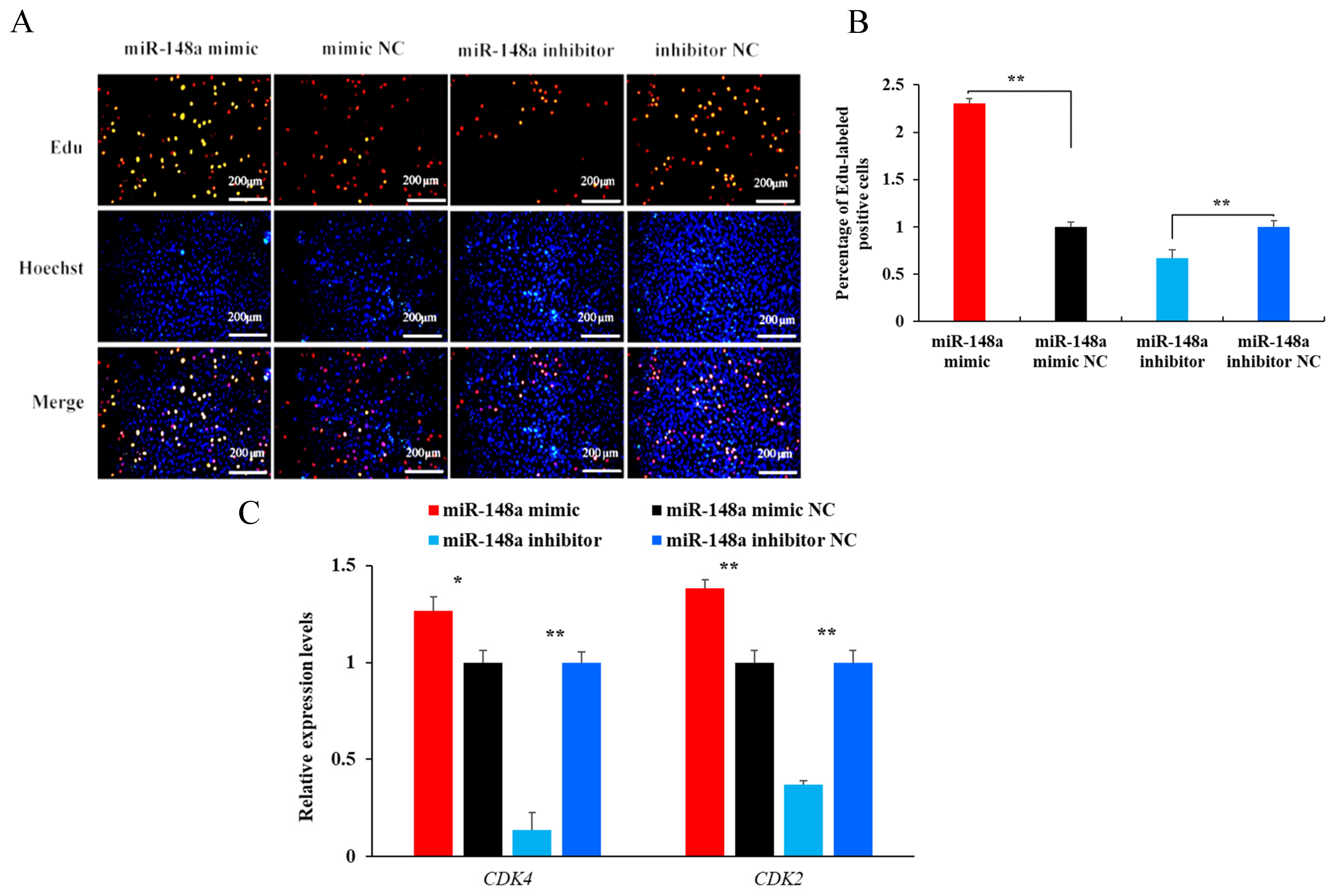 Ijms 25 08558 g003 Ijms 25 08558 g003
