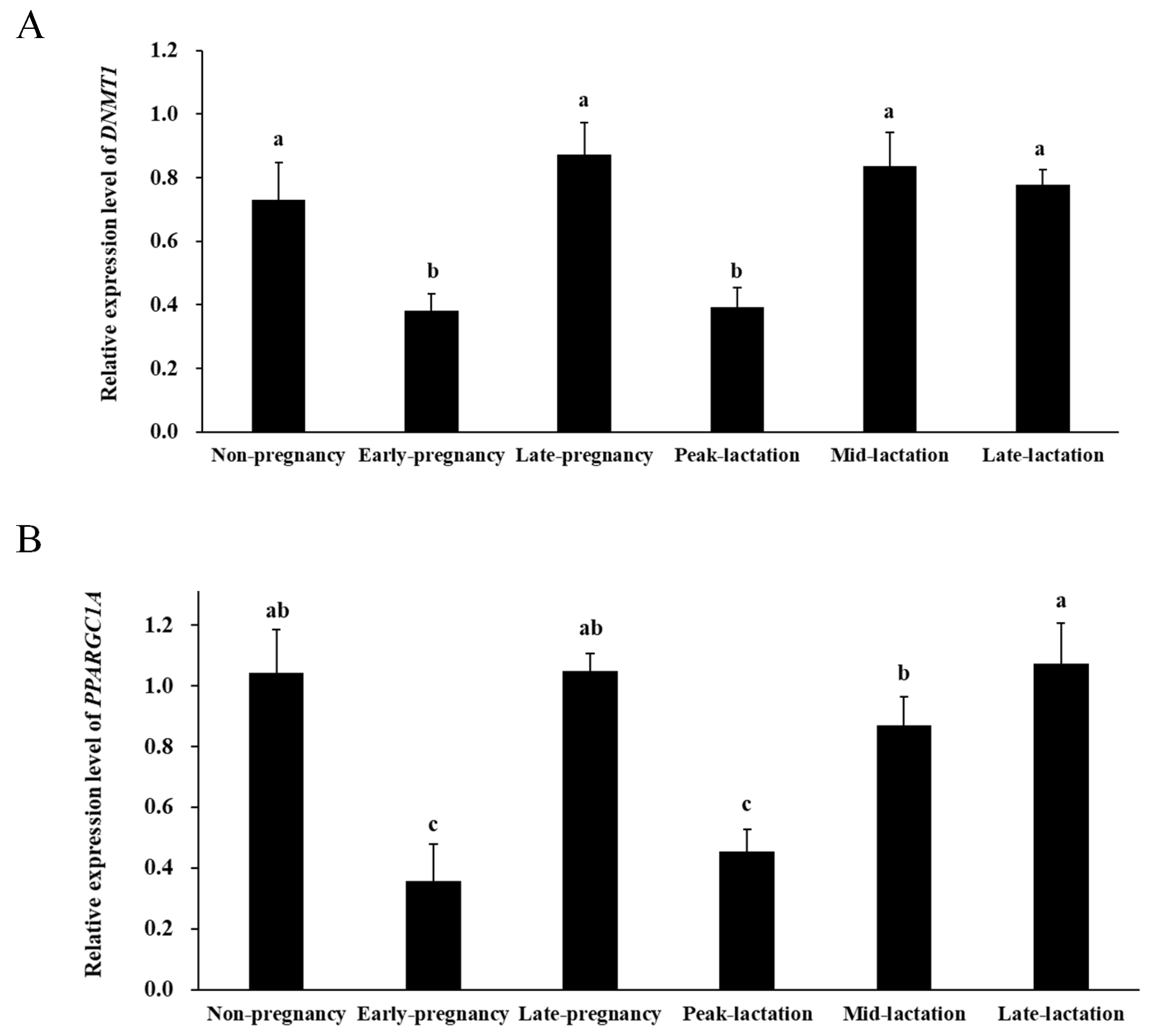Ijms 25 08558 g008 Ijms 25 08558 g008