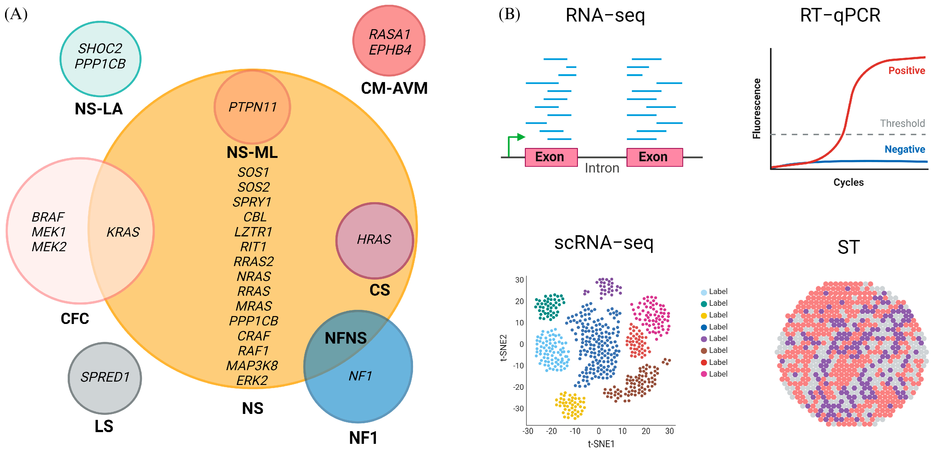 Ijms 25 08563 g001 Ijms 25 08563 g001