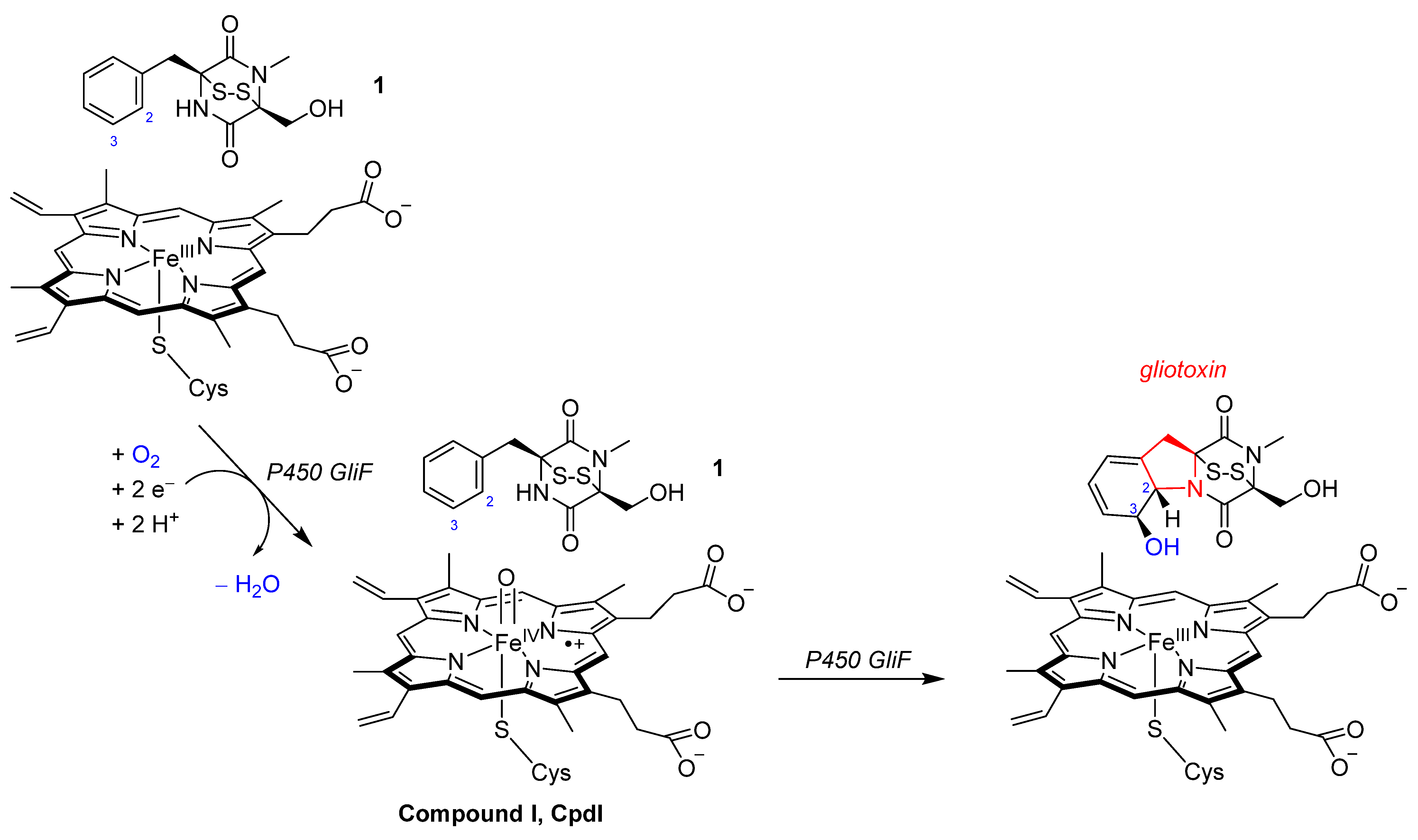 Ijms 25 08567 sch001