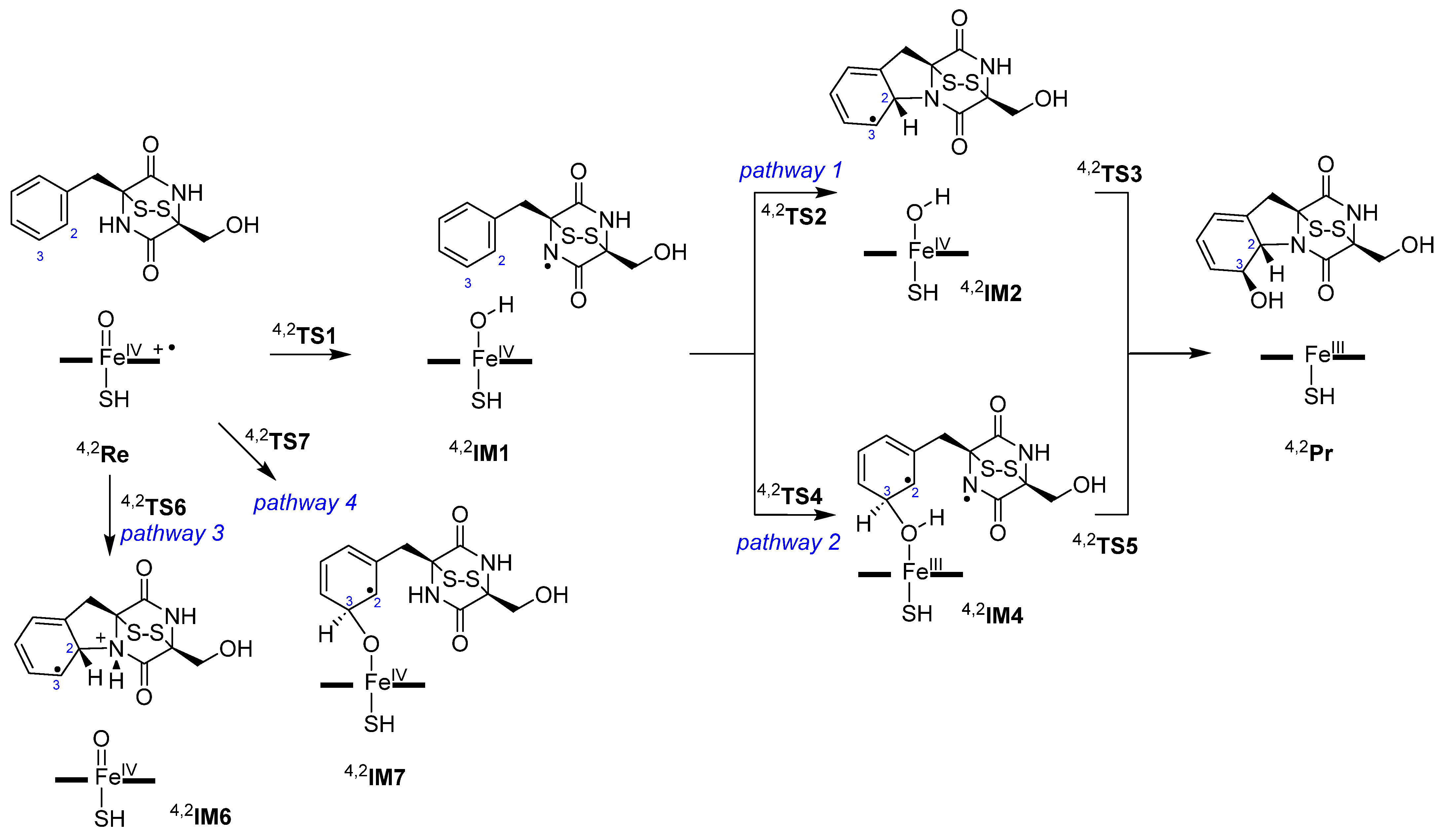 Ijms 25 08567 sch002