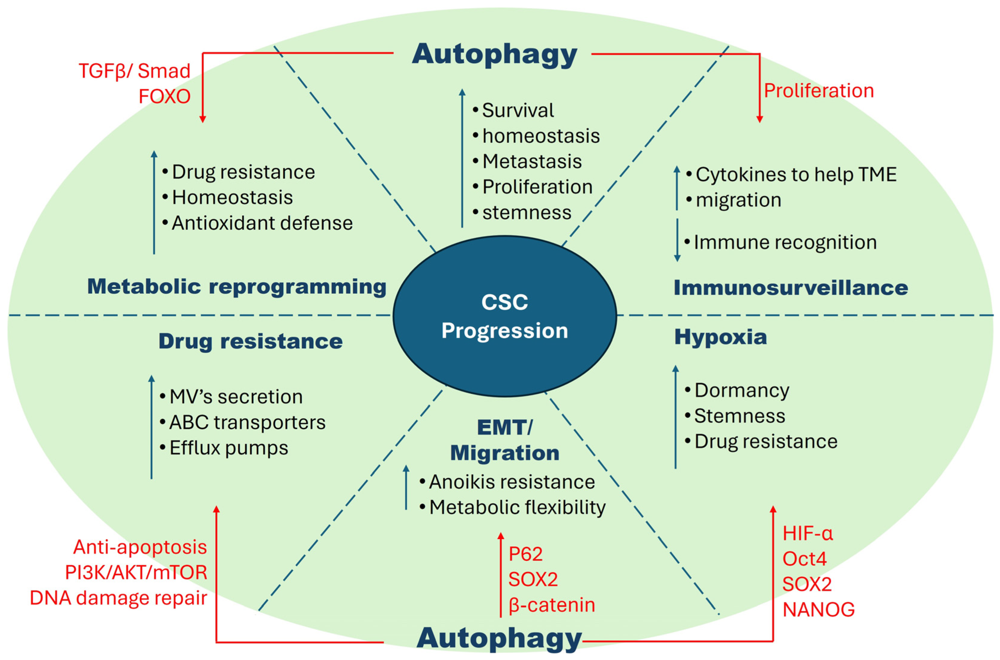 Ijms 25 08647 g002 Ijms 25 08647 g002