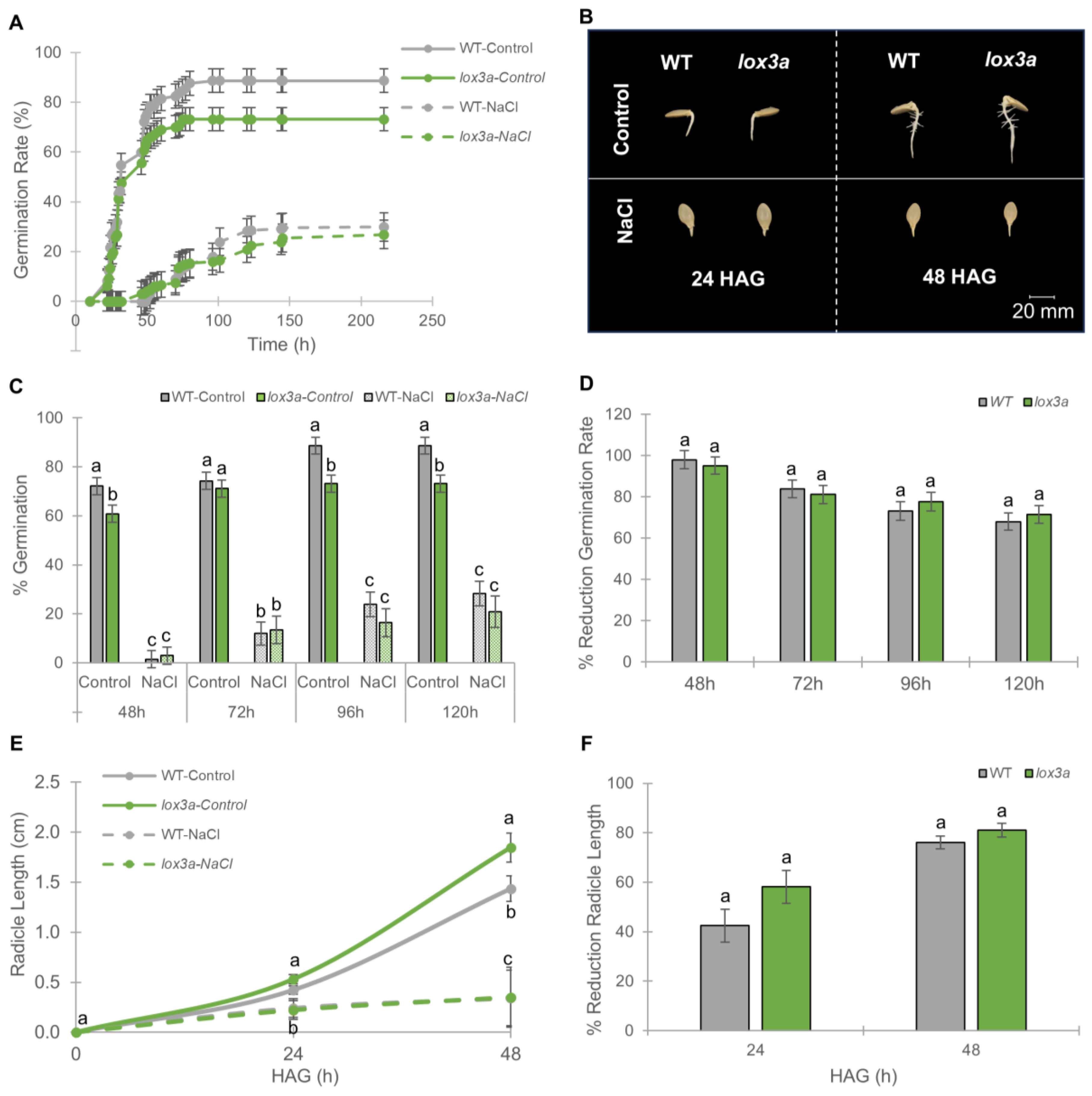 Ijms 25 08728 g002 Ijms 25 08728 g002