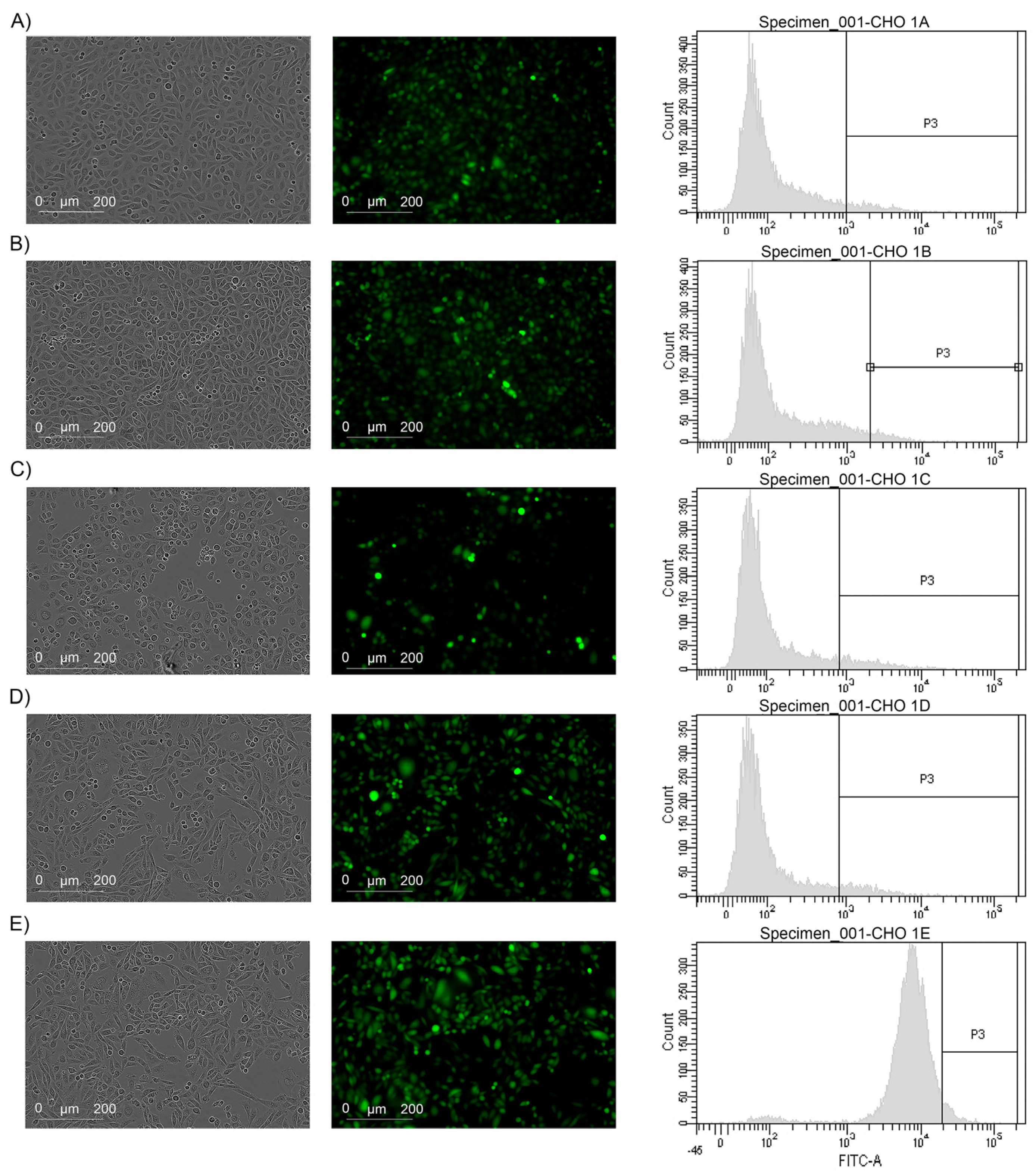 Ijms 25 08734 g001 Ijms 25 08734 g001