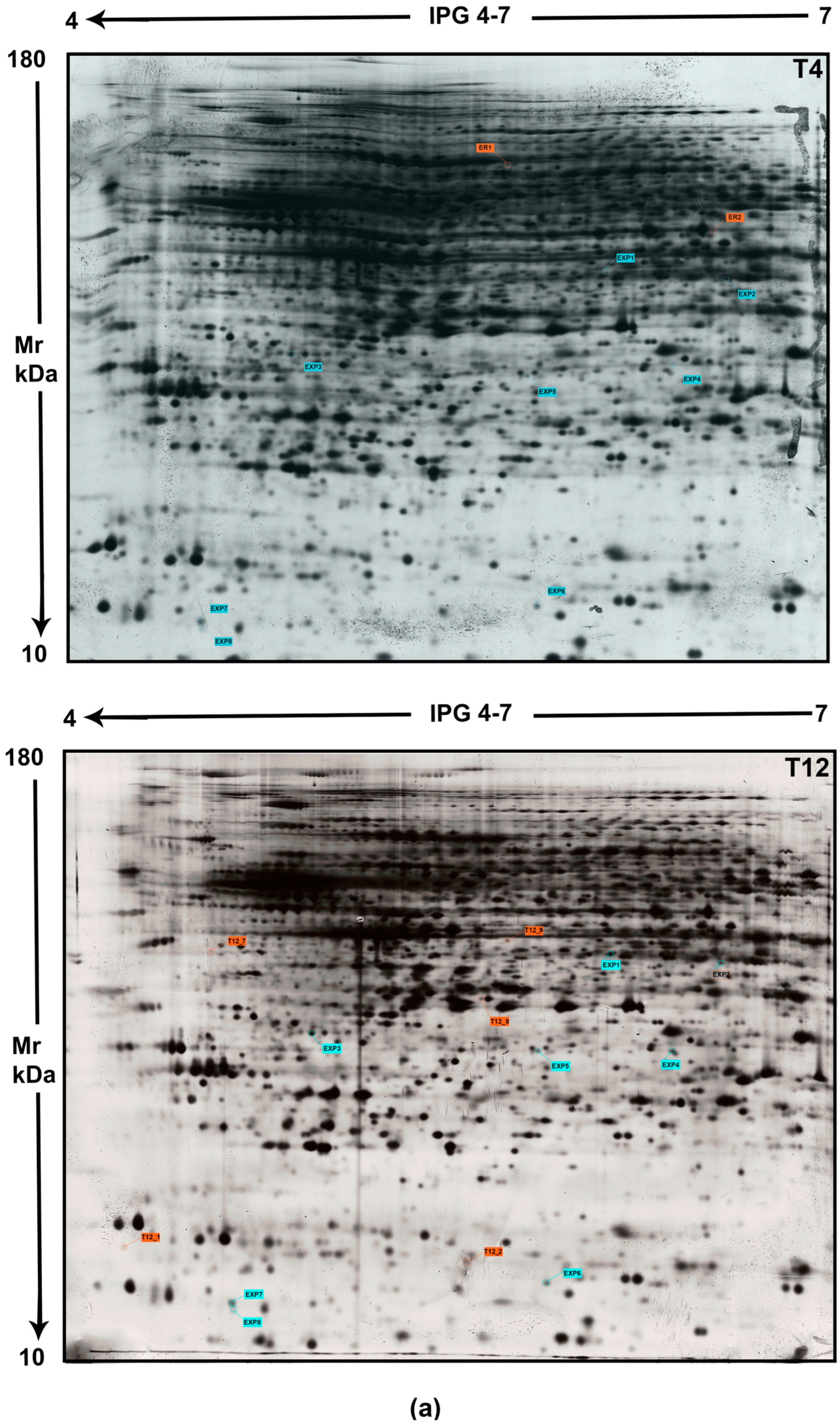 Ijms 25 08736 g001a
