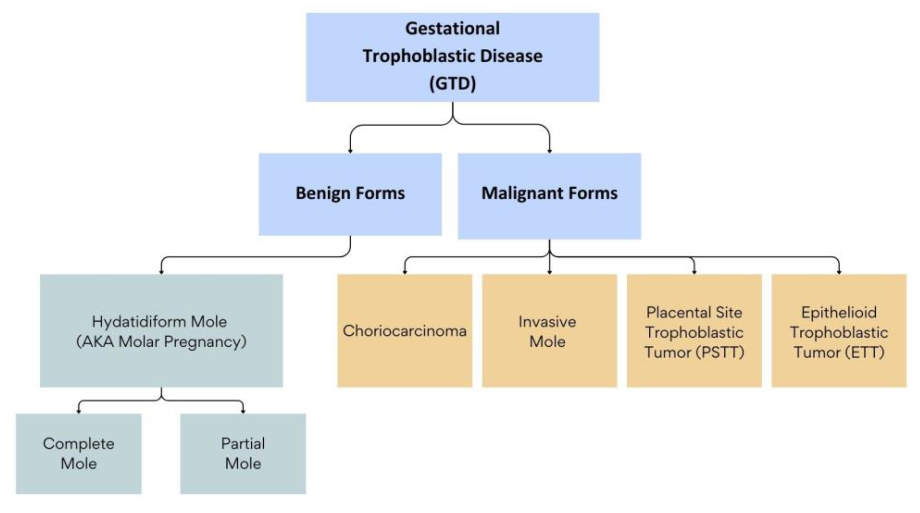Ijms 25 08739 g001 Ijms 25 08739 g001