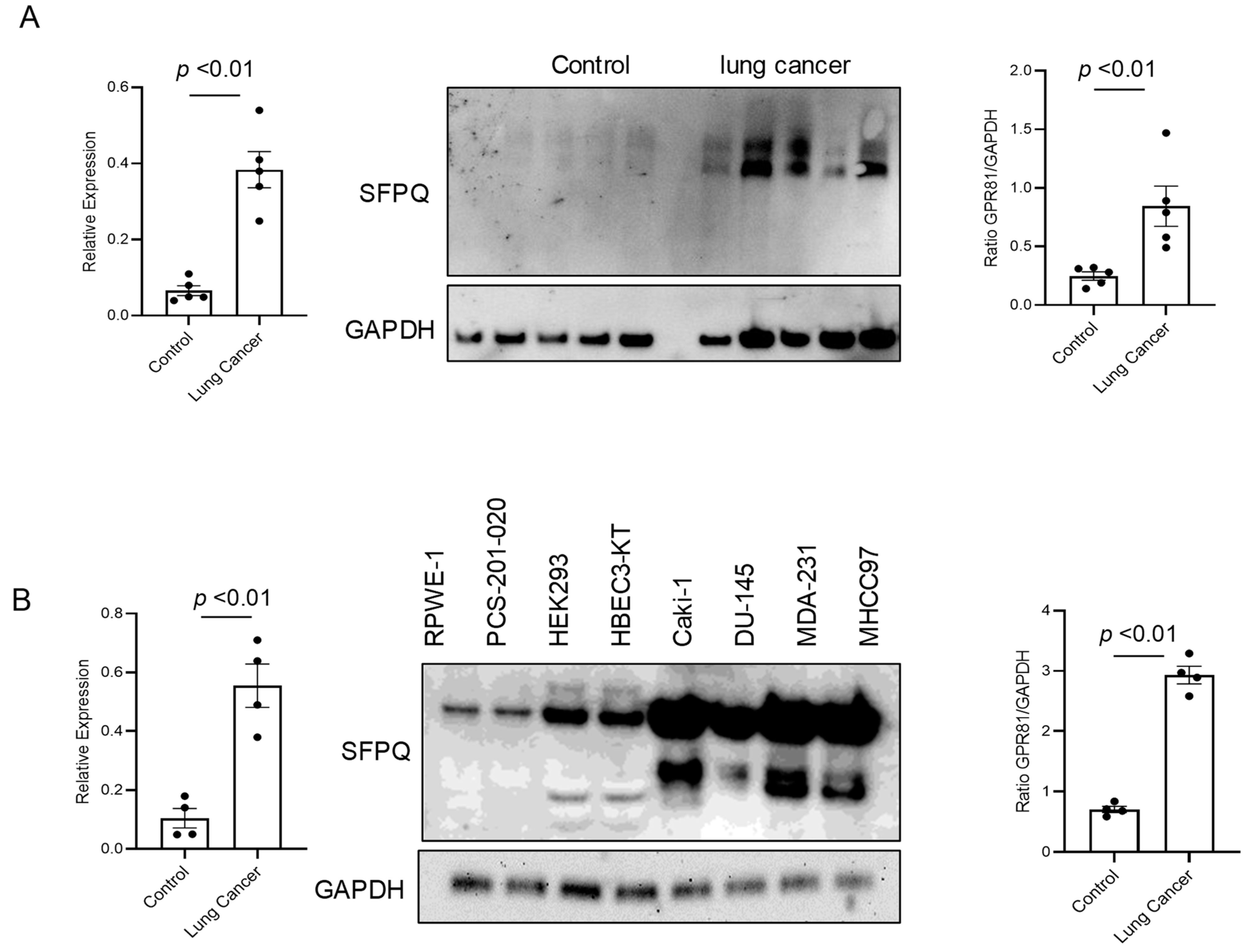 Ijms 25 08766 g001 Ijms 25 08766 g001
