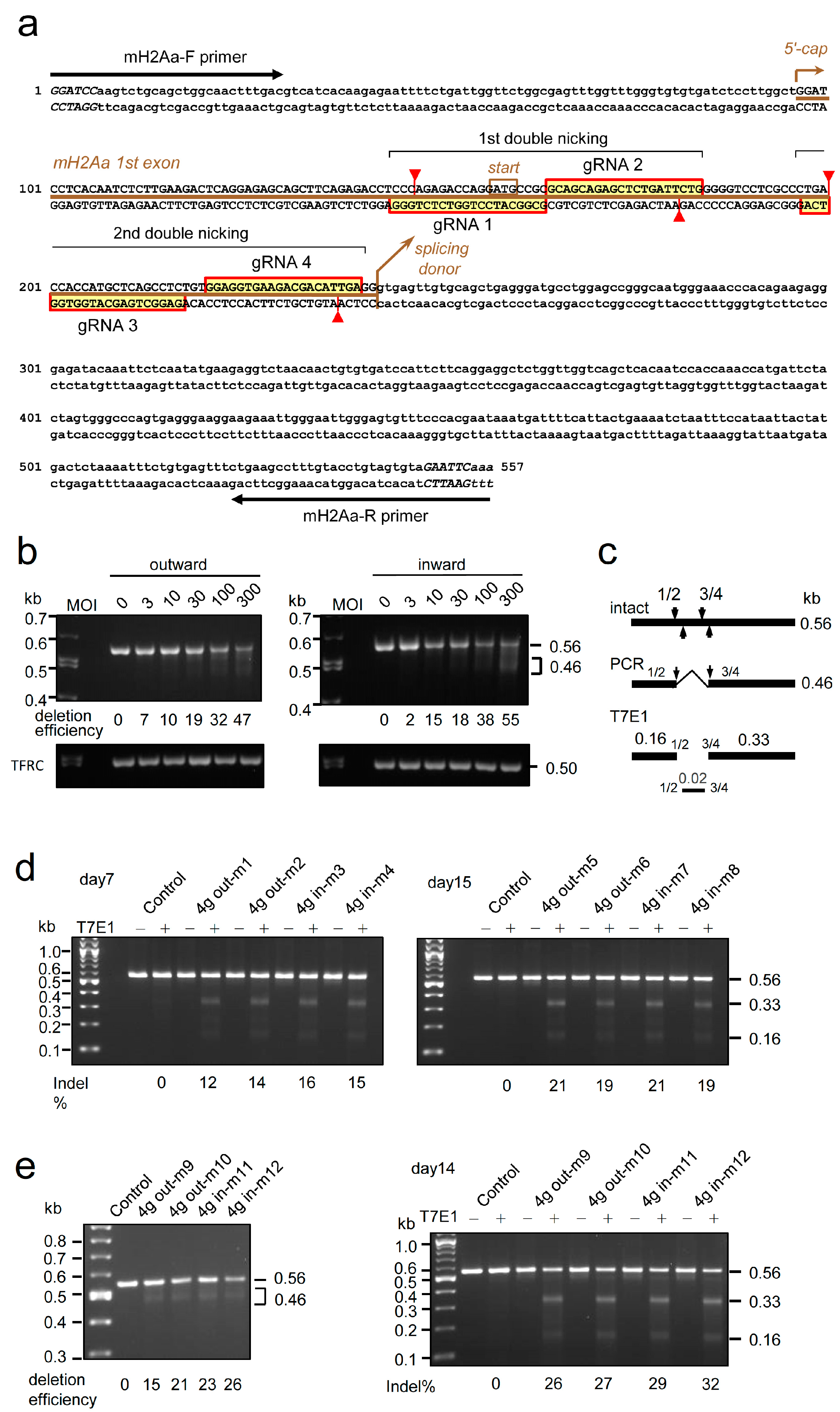 Ijms 25 08783 g006 Ijms 25 08783 g006