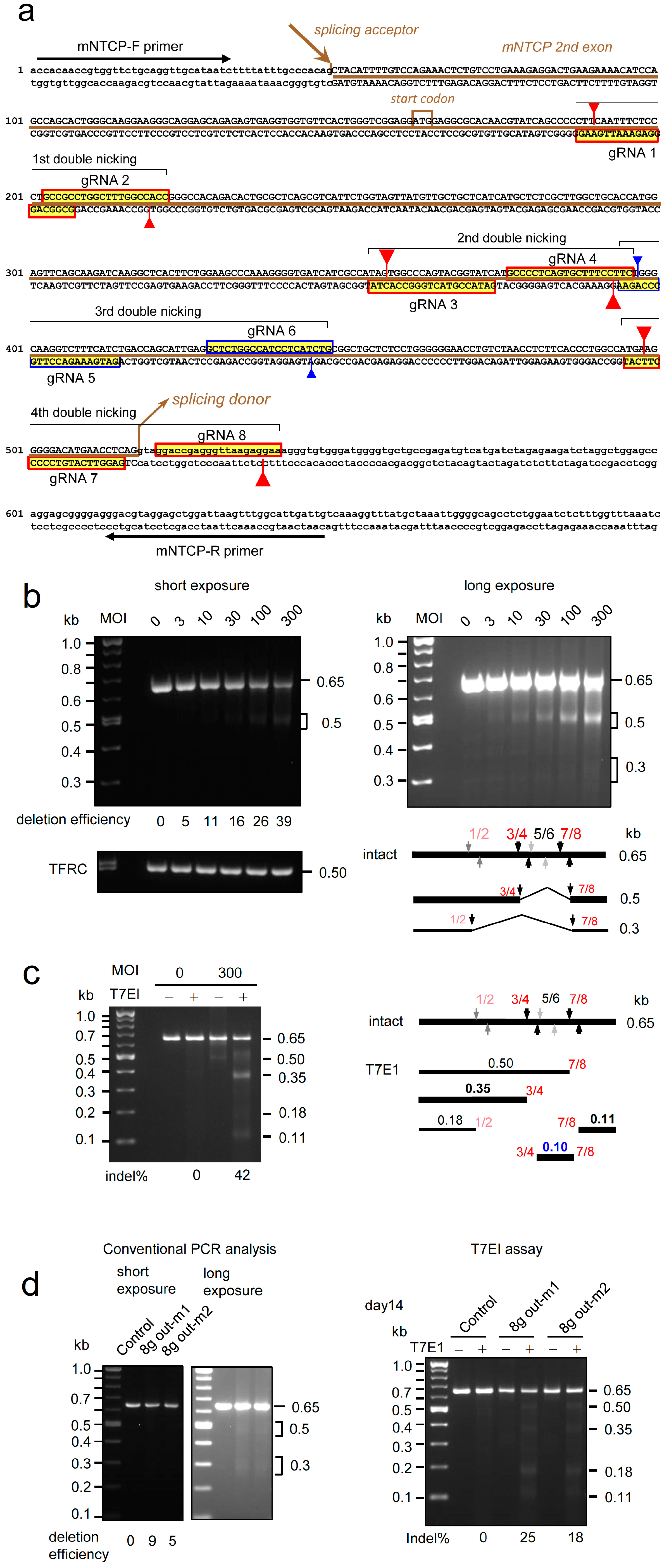 Ijms 25 08783 g007 Ijms 25 08783 g007