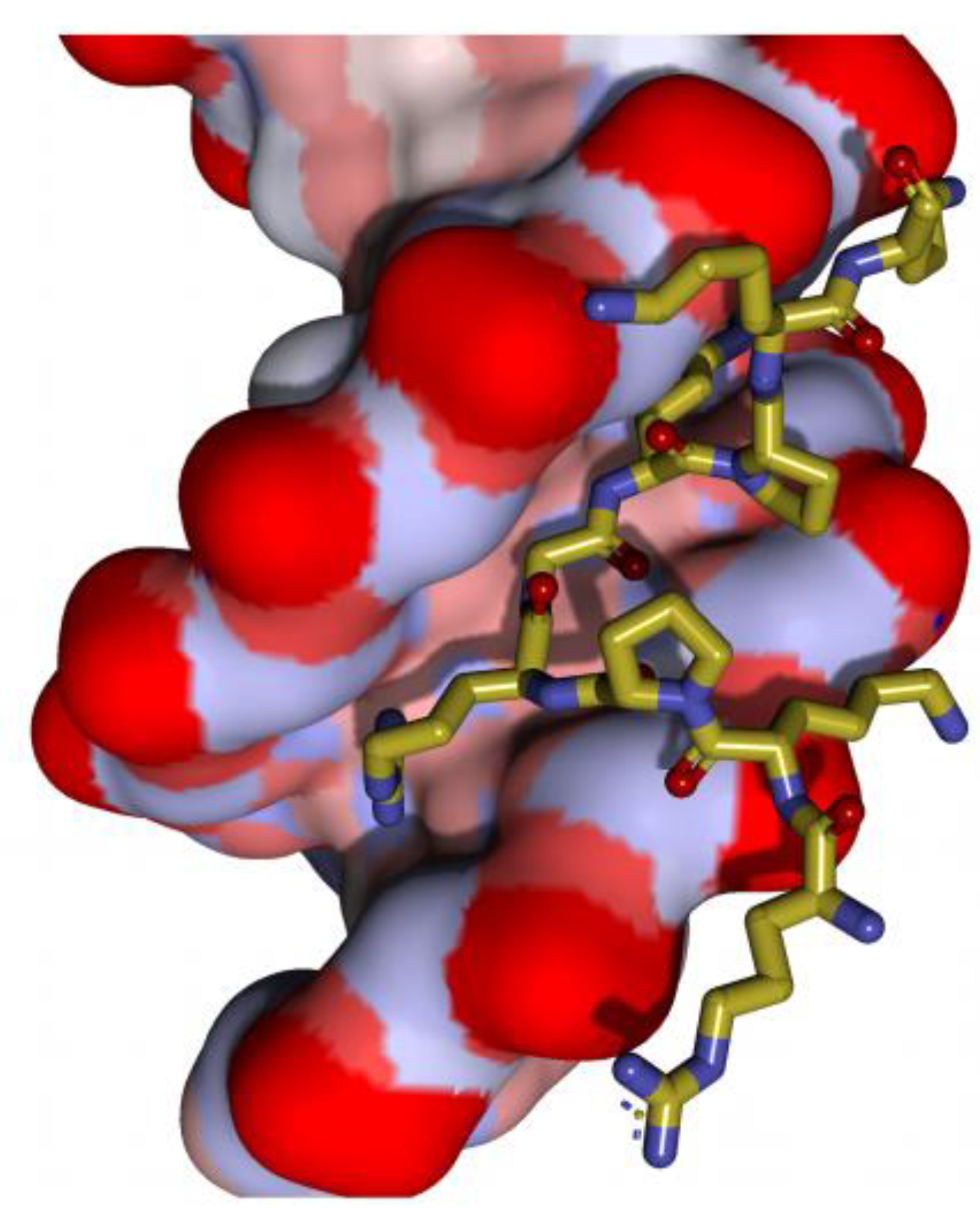 Ijms 25 08863 g002