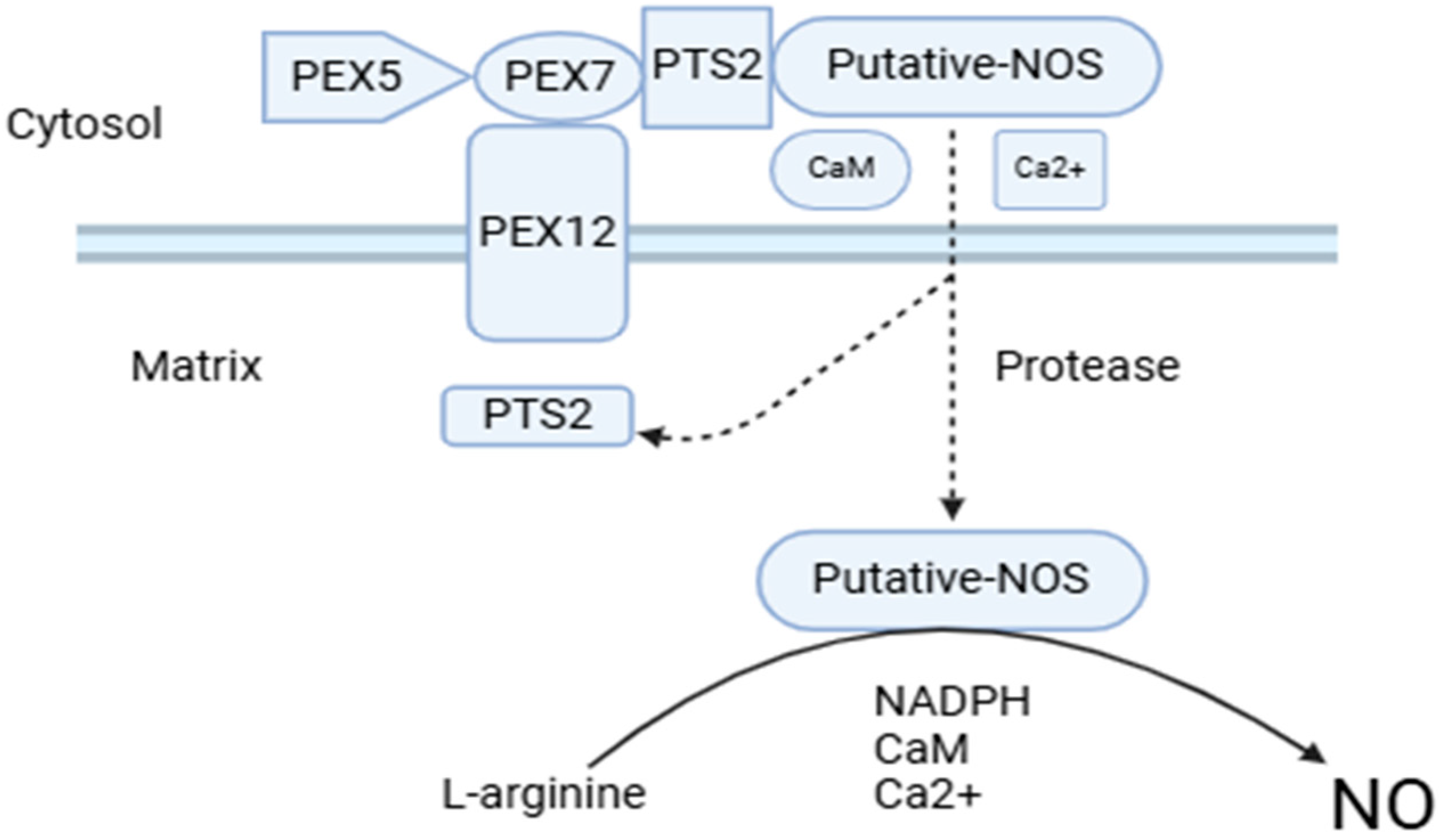 Ijms 25 08873 g002 Ijms 25 08873 g002