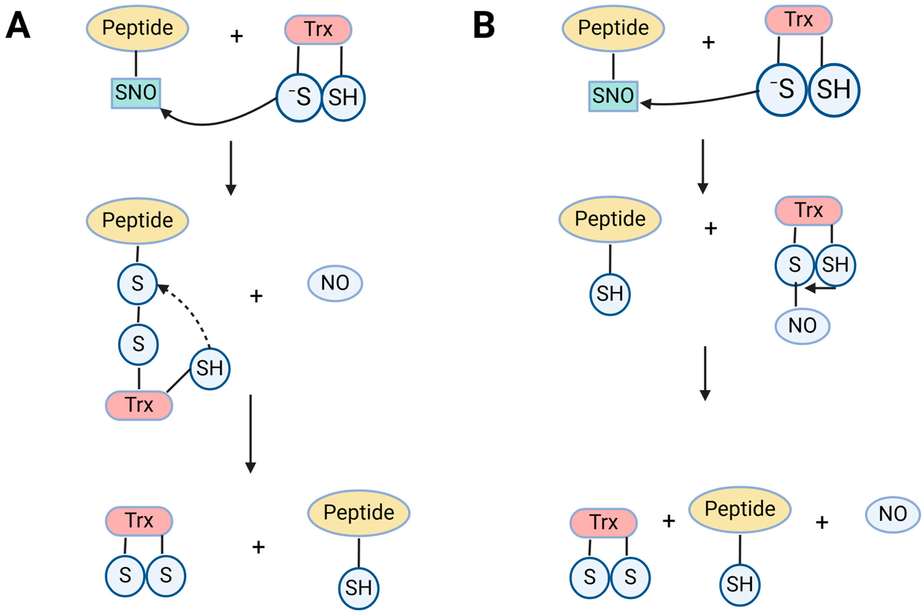 Ijms 25 08873 g003 Ijms 25 08873 g003