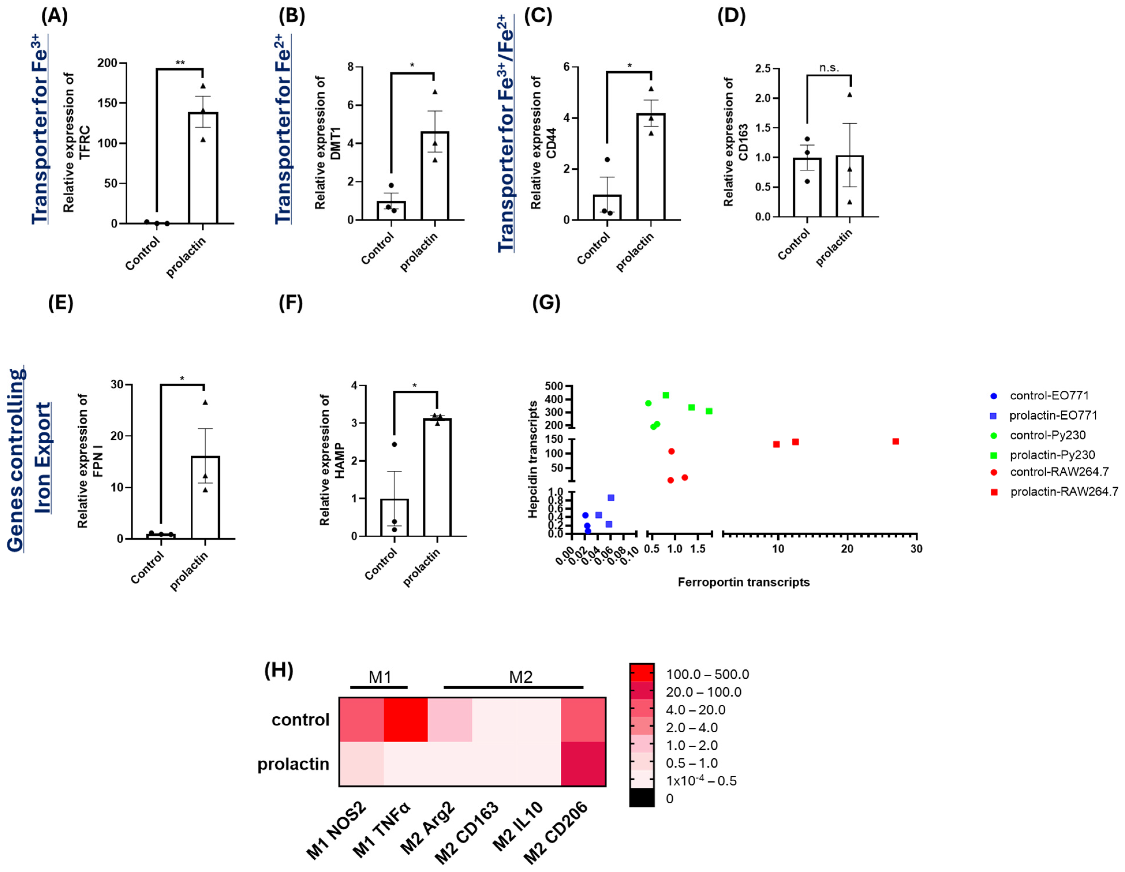 Ijms 25 08941 g004 Ijms 25 08941 g004