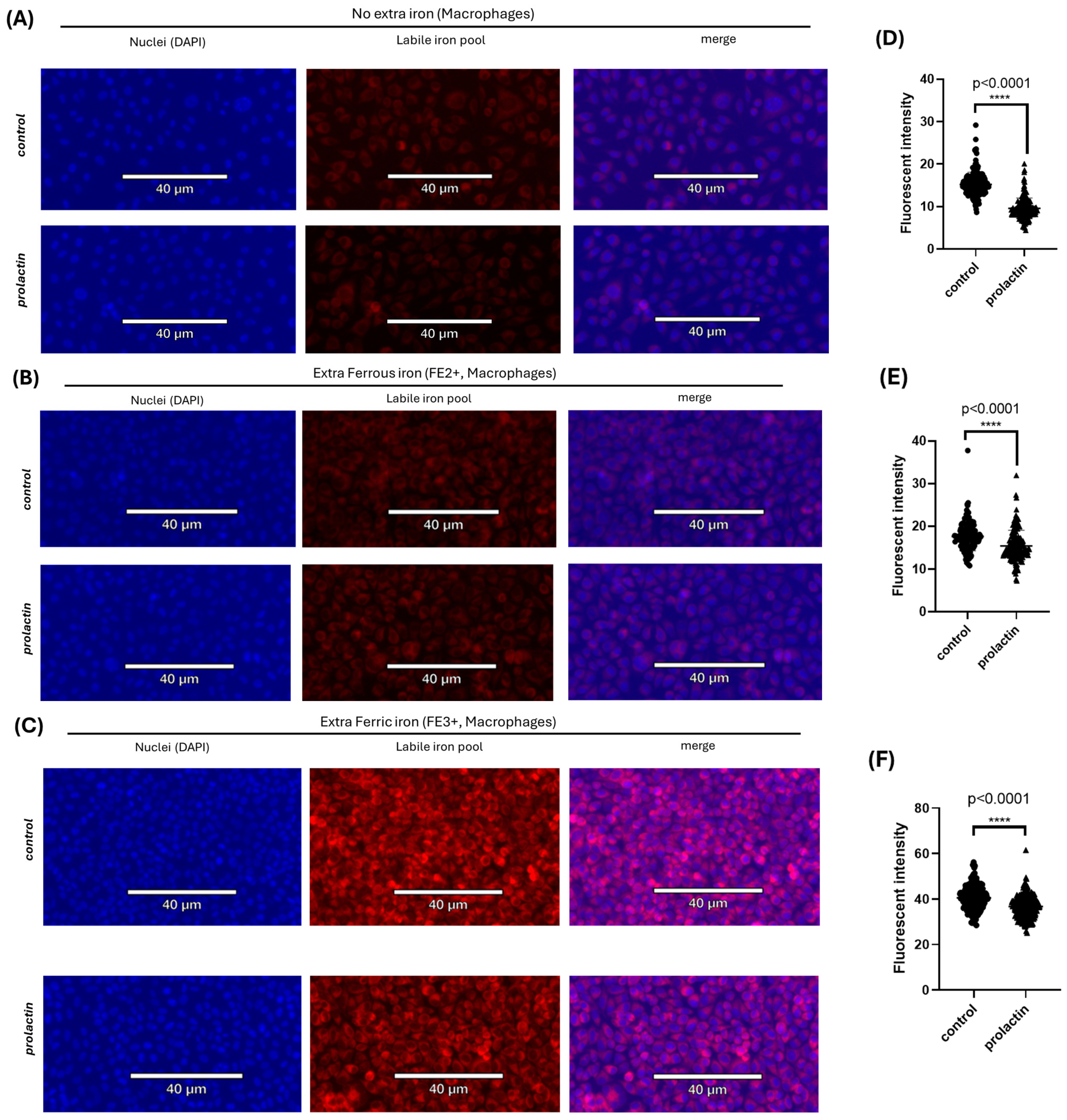 Ijms 25 08941 g005 Ijms 25 08941 g005