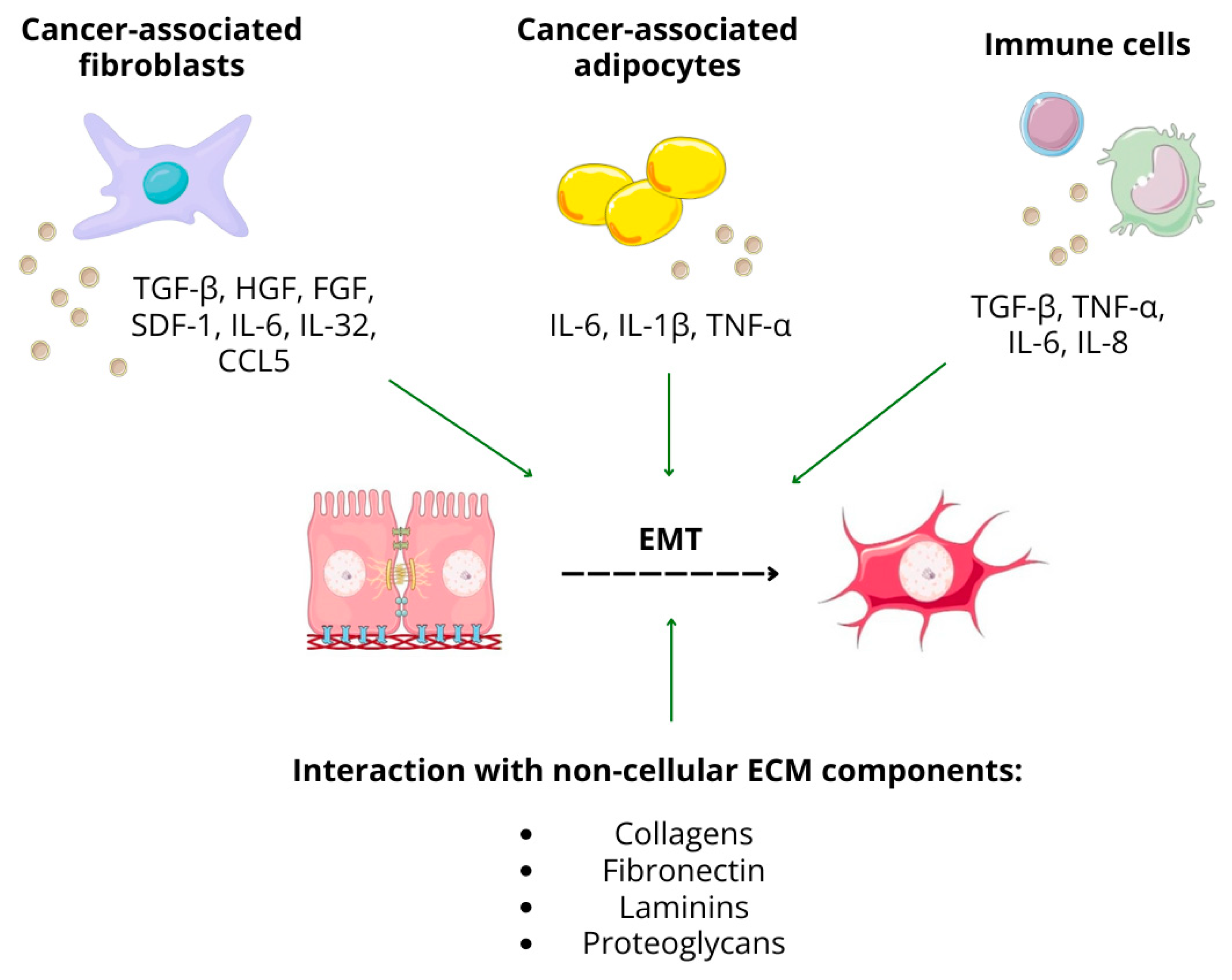 Ijms 25 08972 g003 Ijms 25 08972 g003