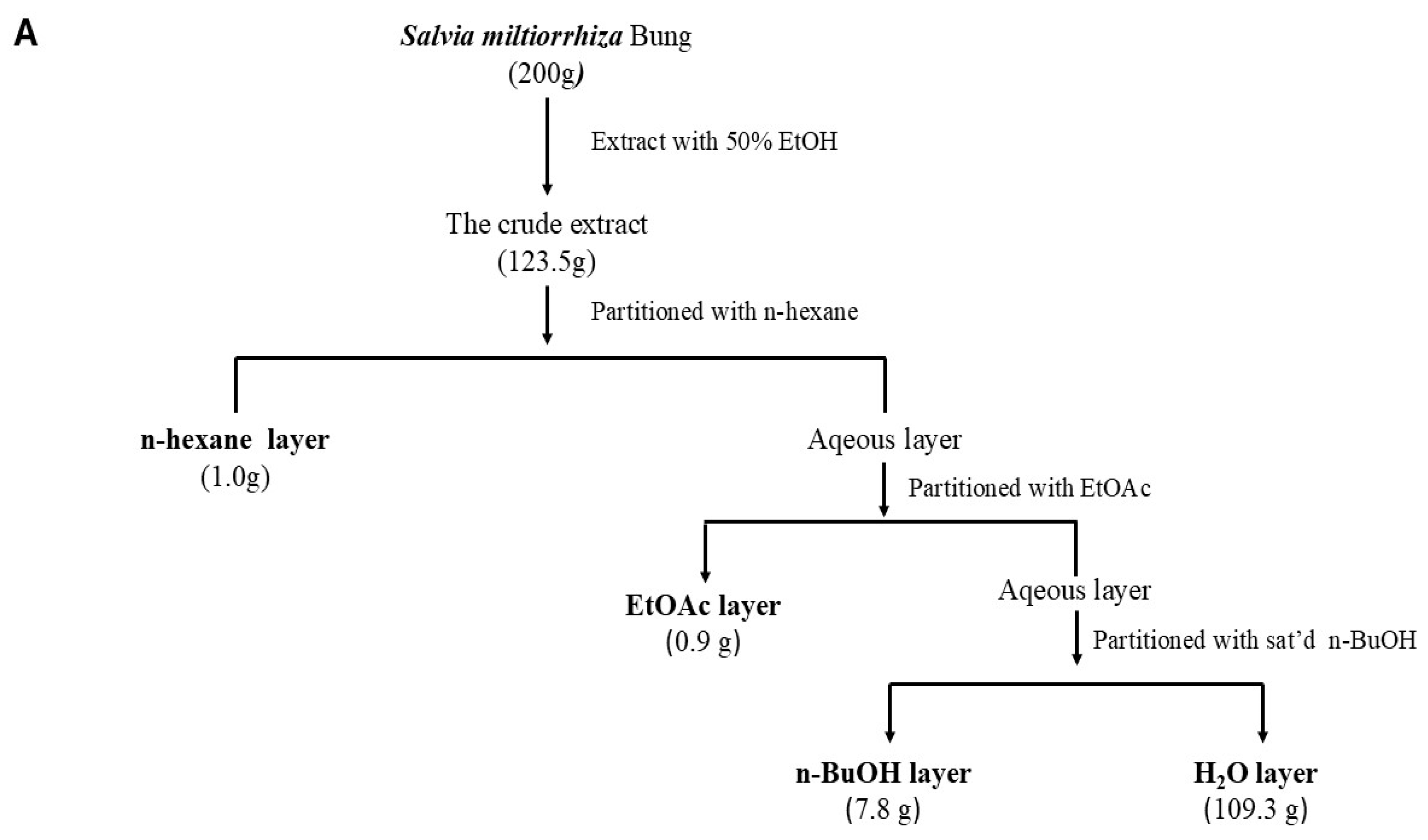 Ijms 25 08986 g001a Ijms 25 08986 g001a