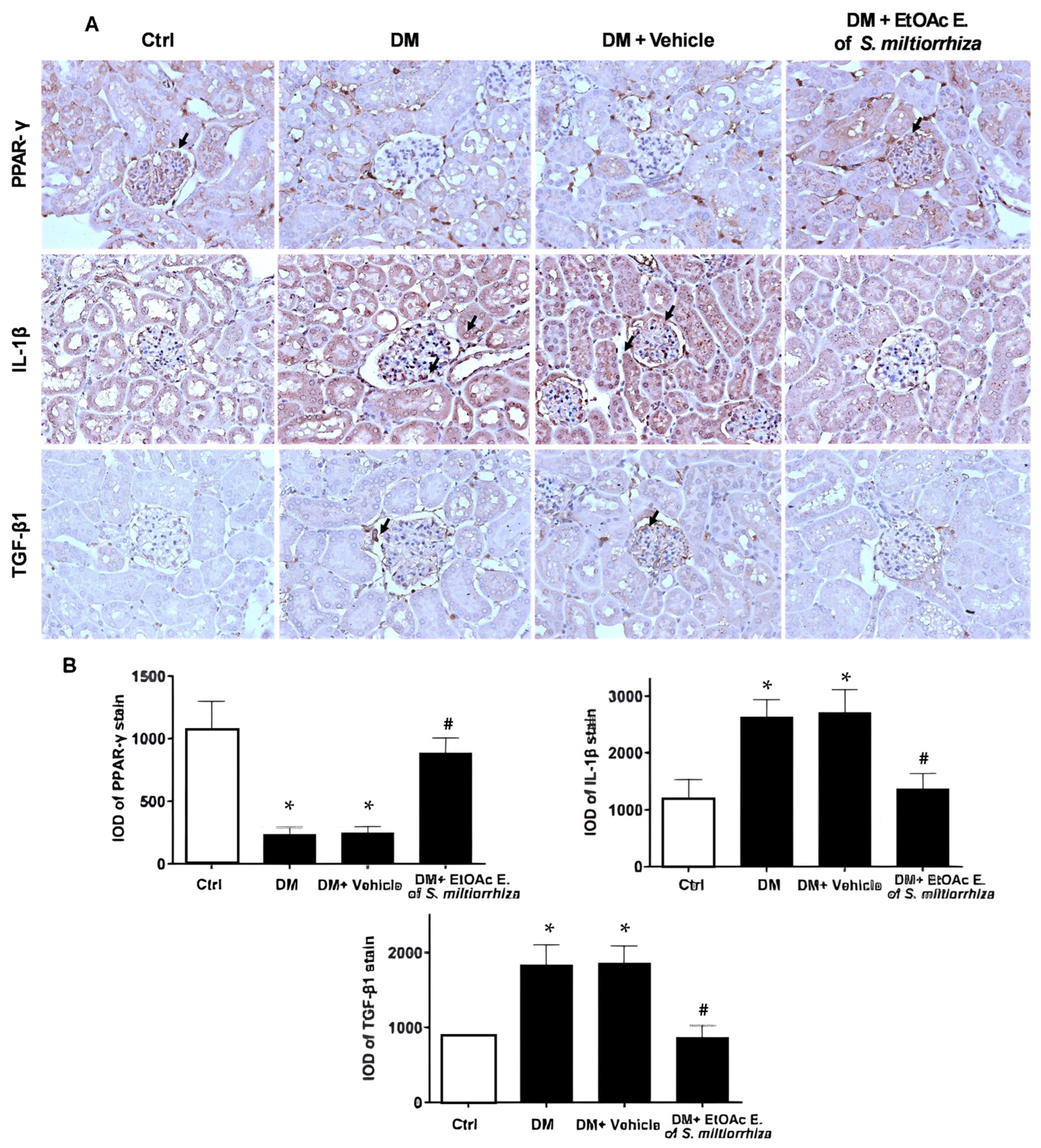 Ijms 25 08986 g004 Ijms 25 08986 g004