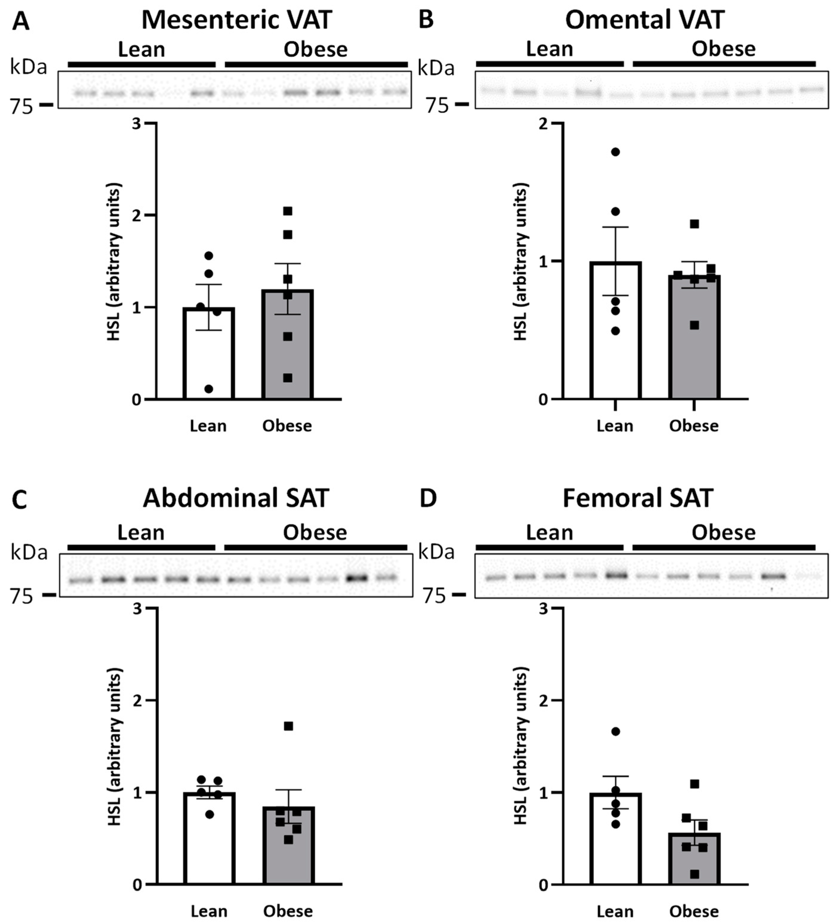 Ijms 25 09008 g001 Ijms 25 09008 g001