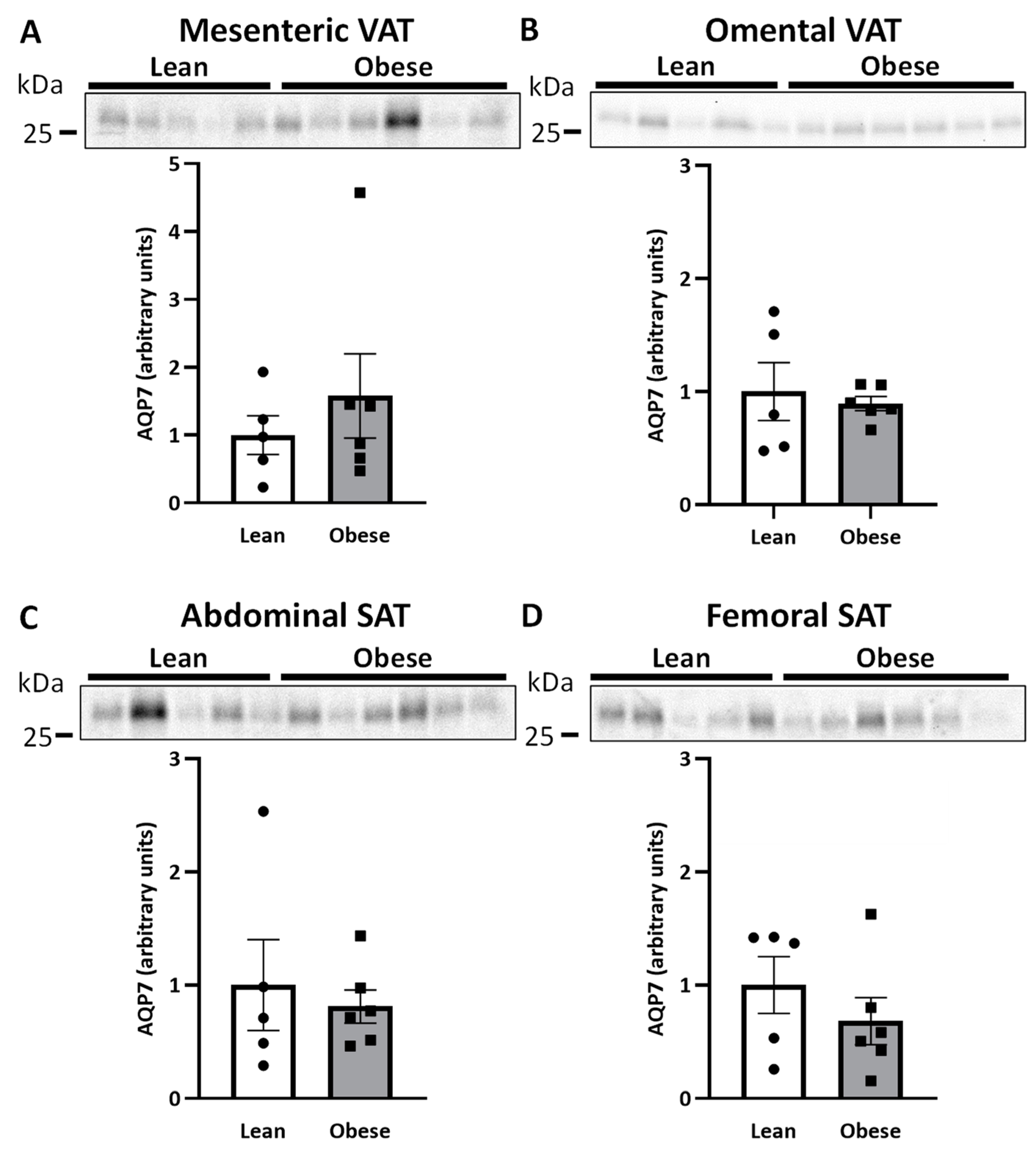 Ijms 25 09008 g002 Ijms 25 09008 g002