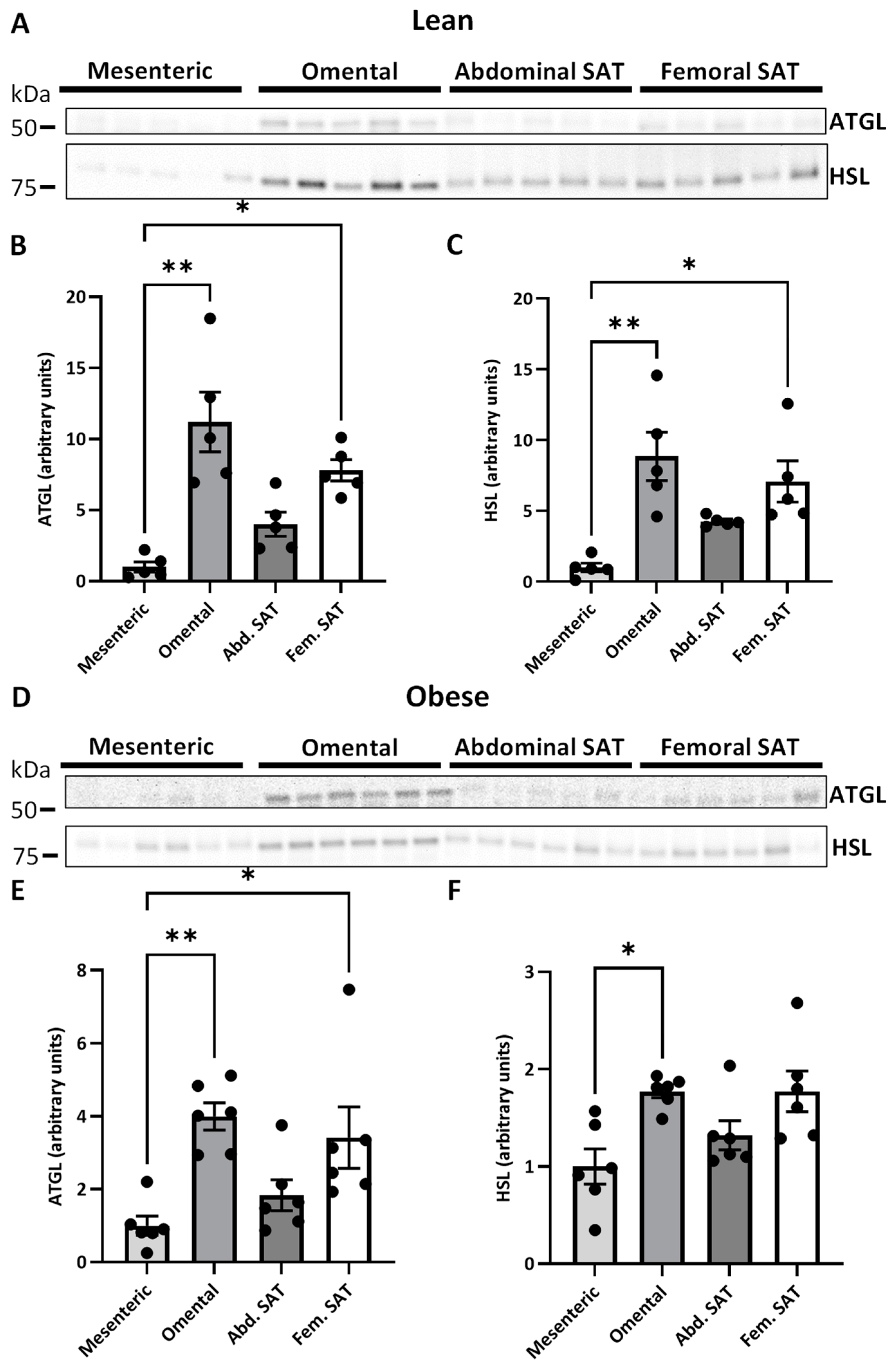 Ijms 25 09008 g003 Ijms 25 09008 g003
