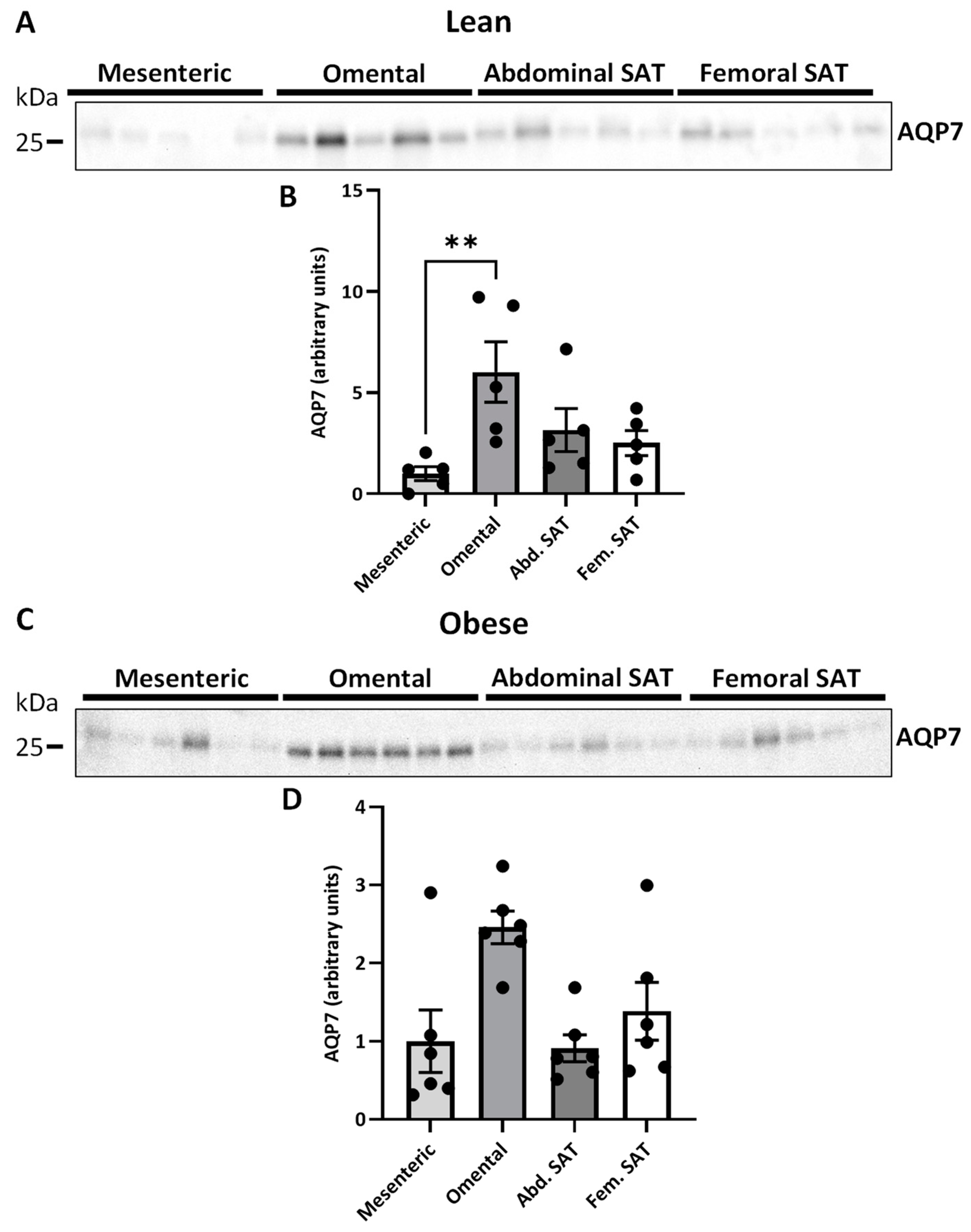 Ijms 25 09008 g004 Ijms 25 09008 g004