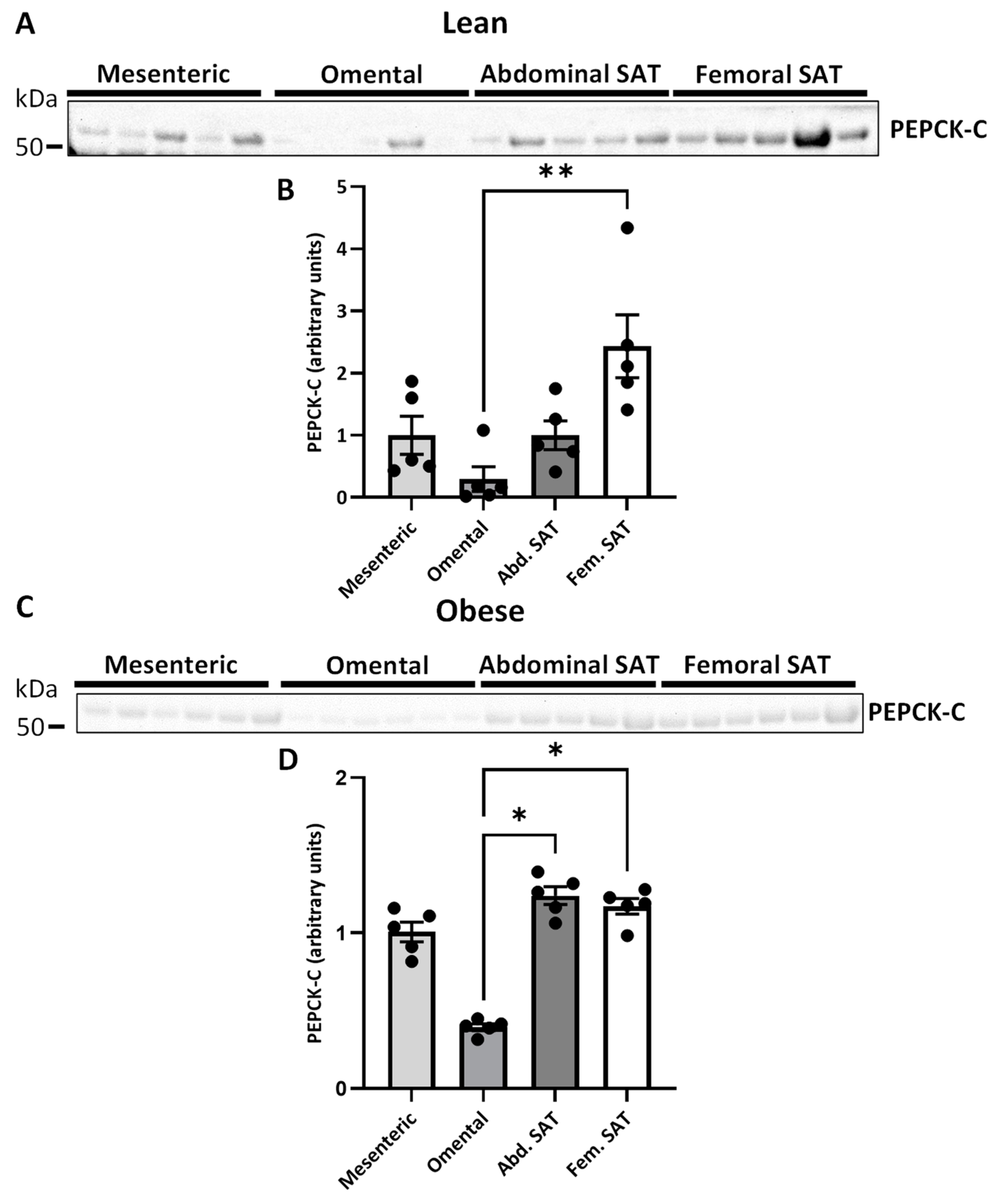 Ijms 25 09008 g006 Ijms 25 09008 g006
