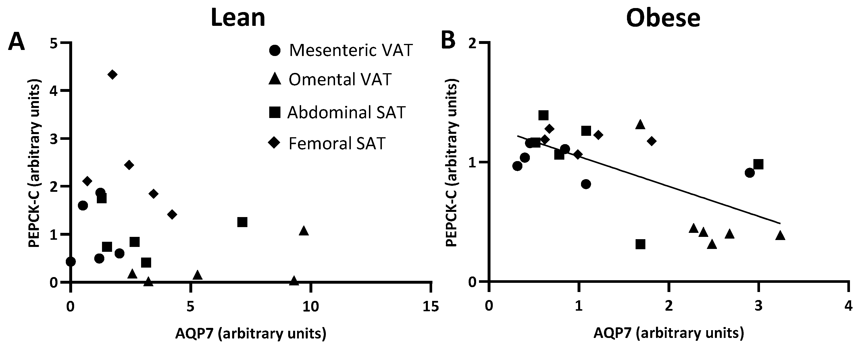 Ijms 25 09008 g007 Ijms 25 09008 g007