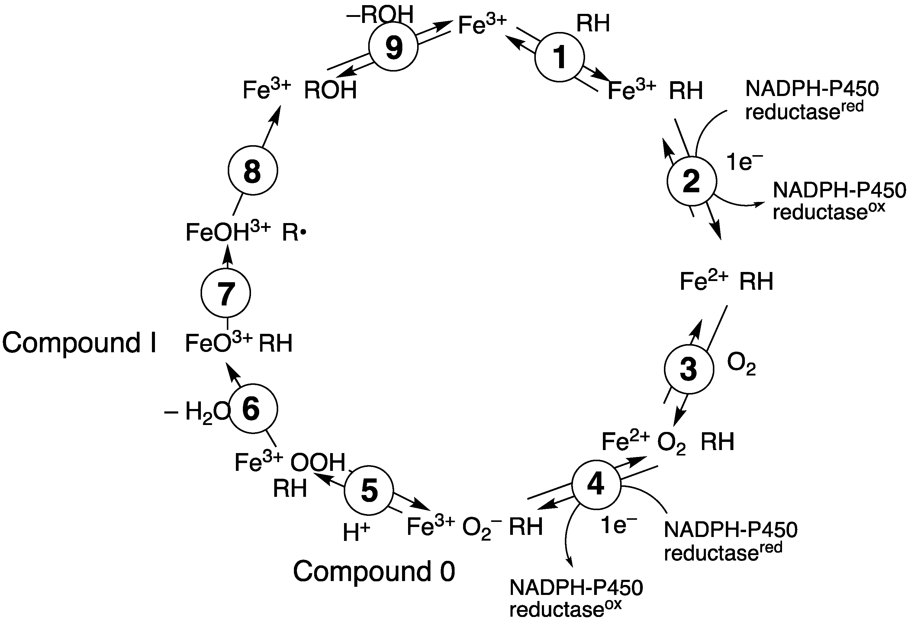 Ijms 25 09020 g002 Ijms 25 09020 g002
