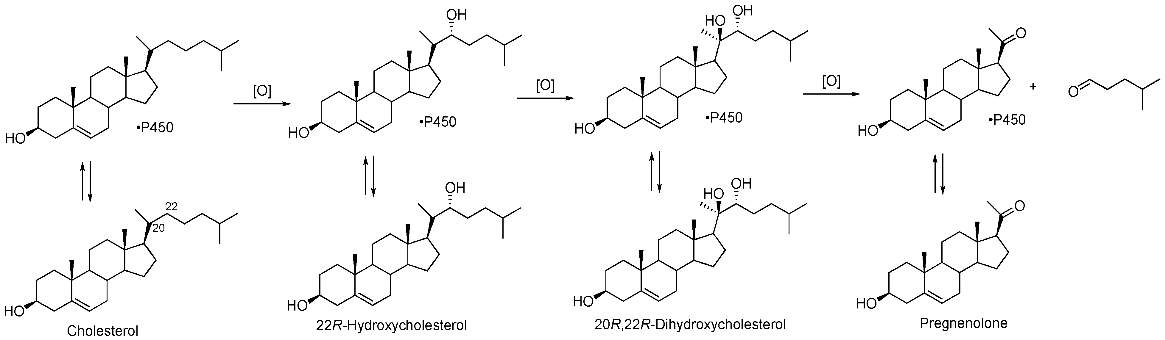 Ijms 25 09020 g003 Ijms 25 09020 g003