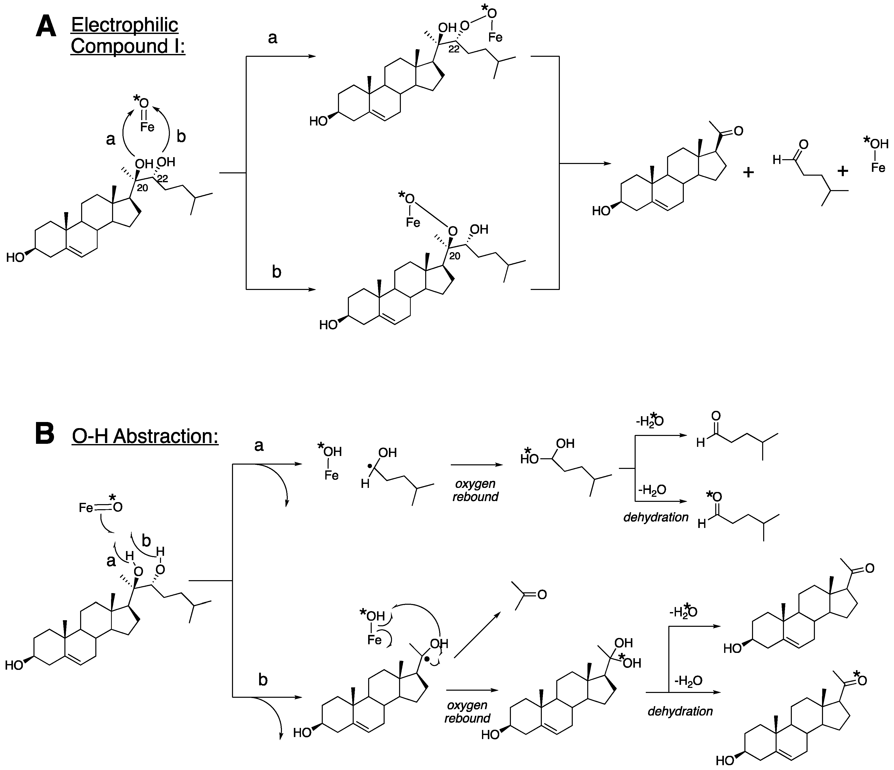 Ijms 25 09020 g004 Ijms 25 09020 g004