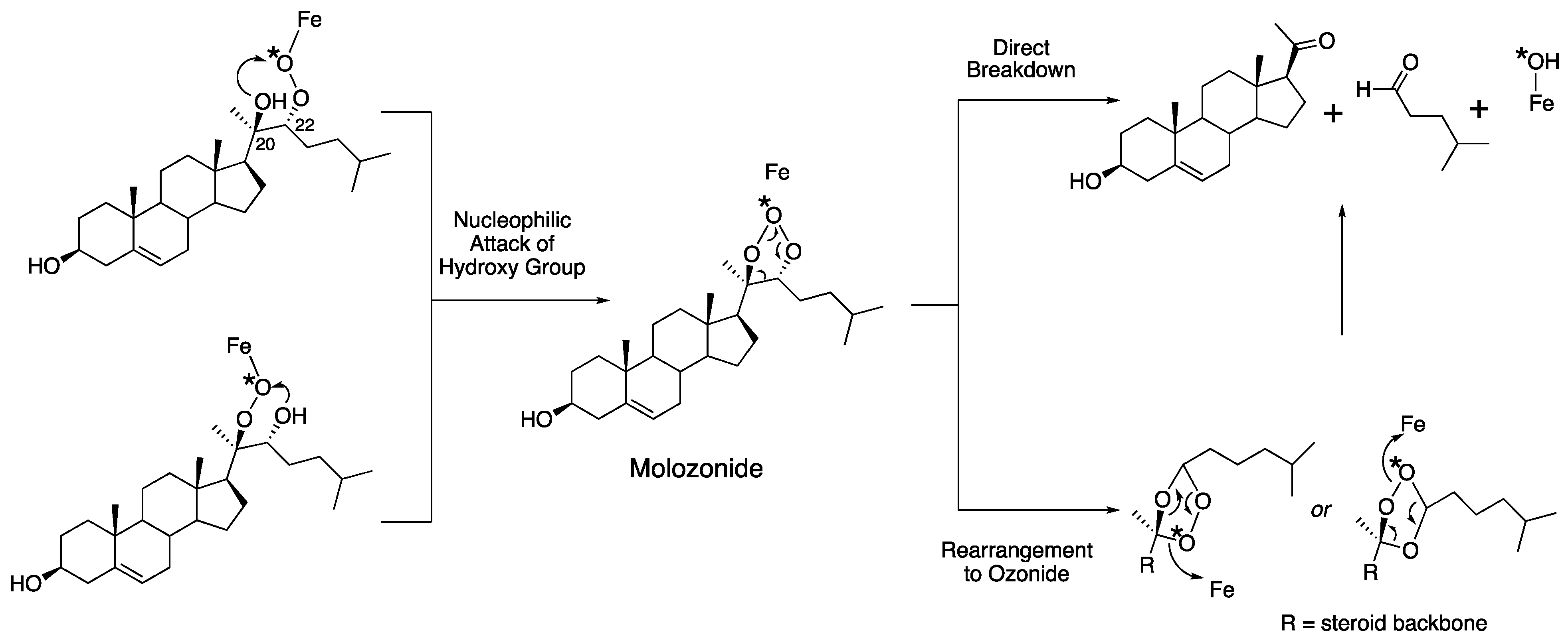 Ijms 25 09020 g005 Ijms 25 09020 g005