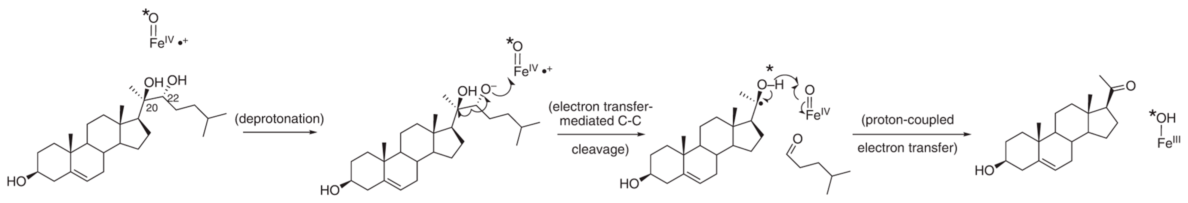 Ijms 25 09020 g006 Ijms 25 09020 g006