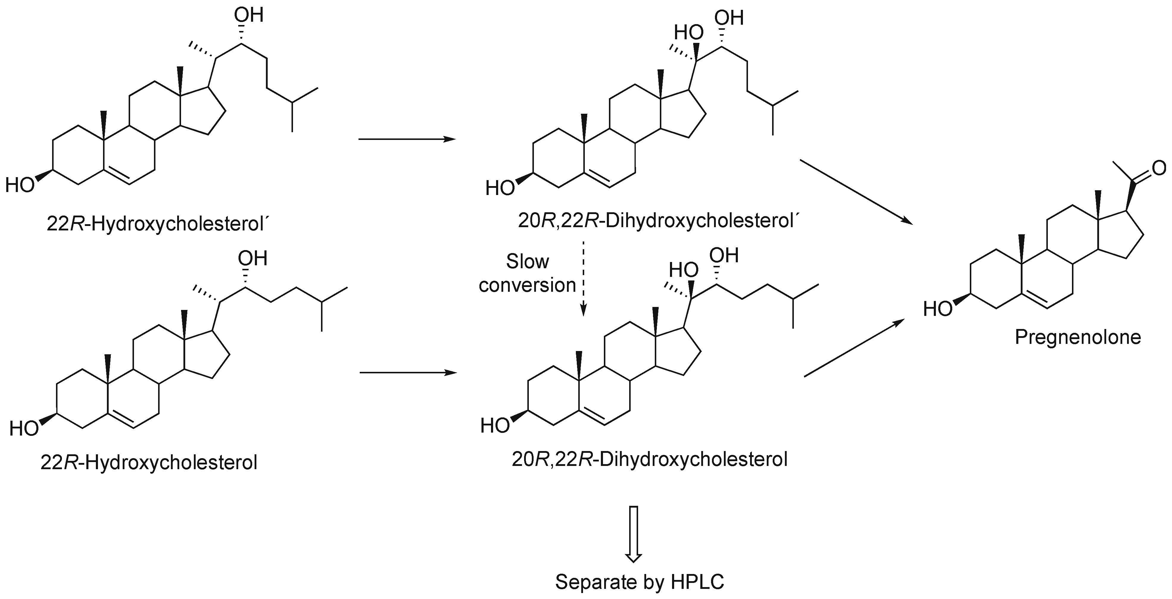 Ijms 25 09020 g009 Ijms 25 09020 g009