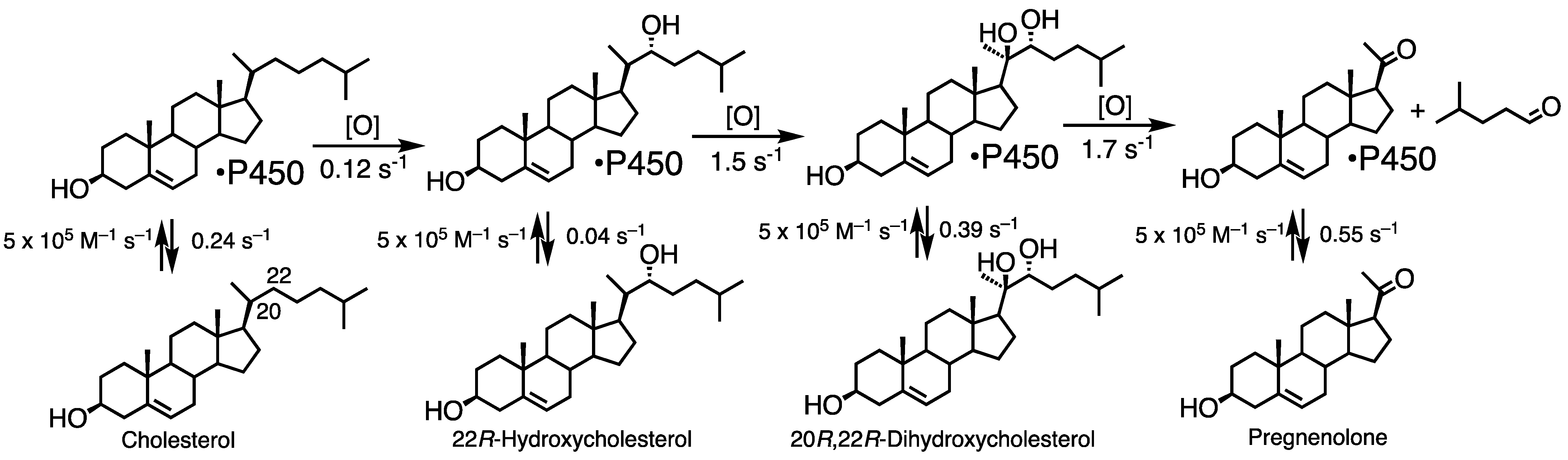 Ijms 25 09020 g010 Ijms 25 09020 g010