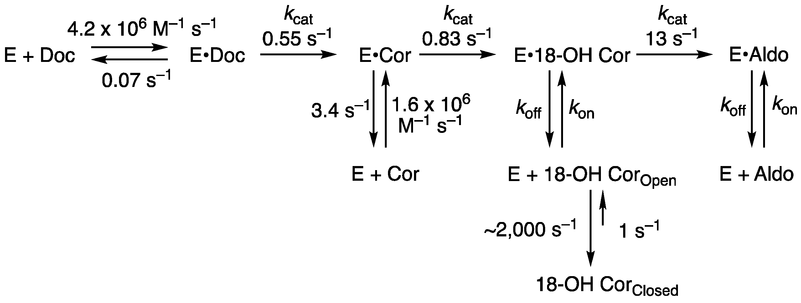 Ijms 25 09020 g013 Ijms 25 09020 g013