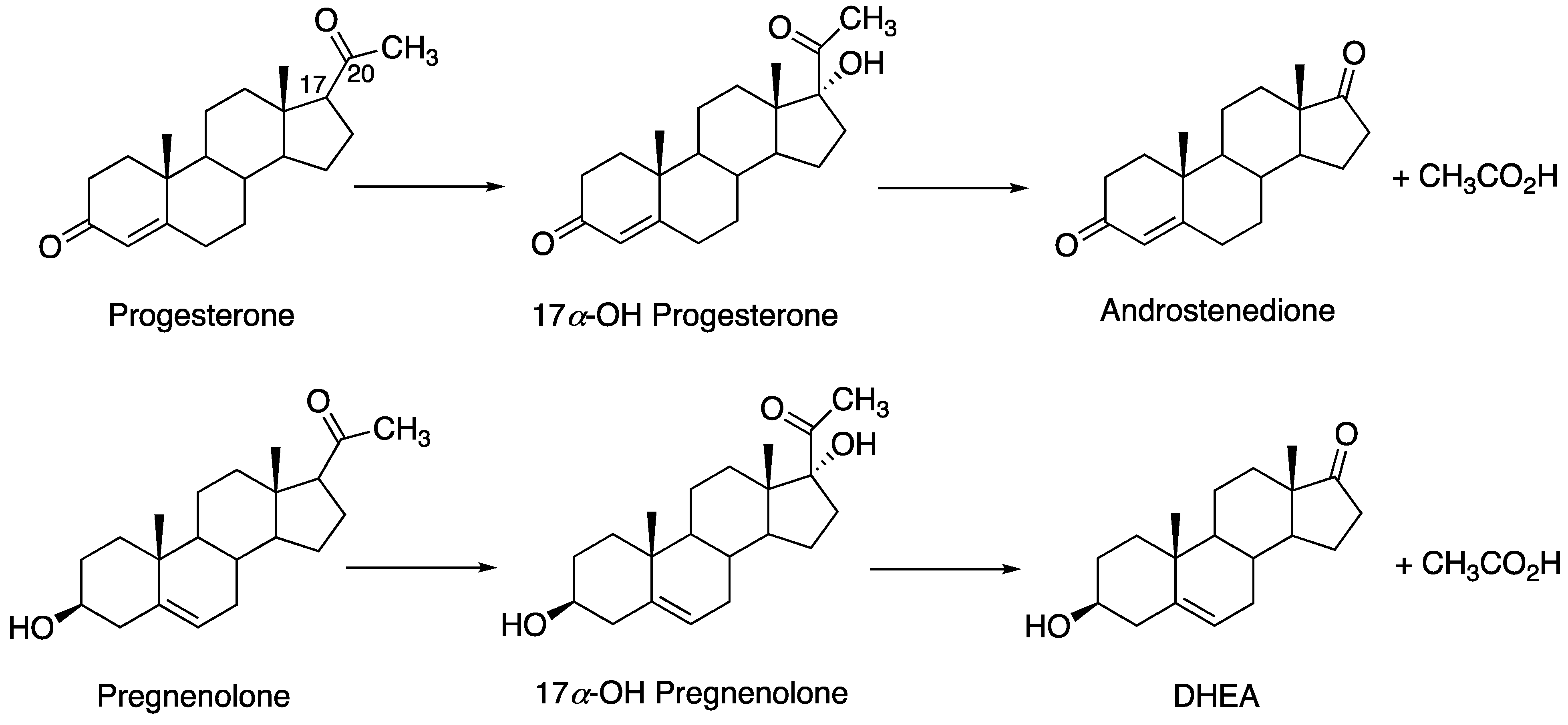 Ijms 25 09020 g014 Ijms 25 09020 g014