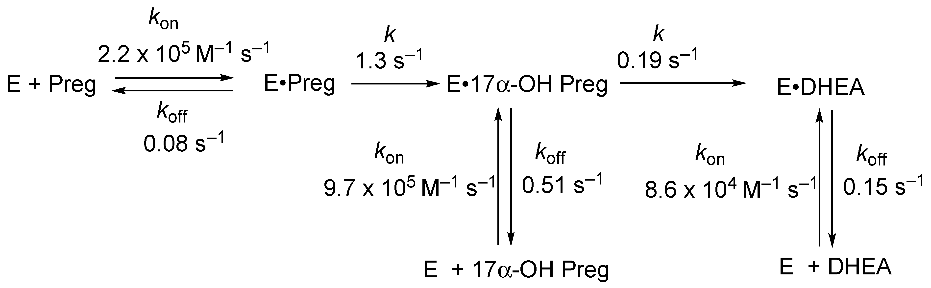 Ijms 25 09020 g015 Ijms 25 09020 g015