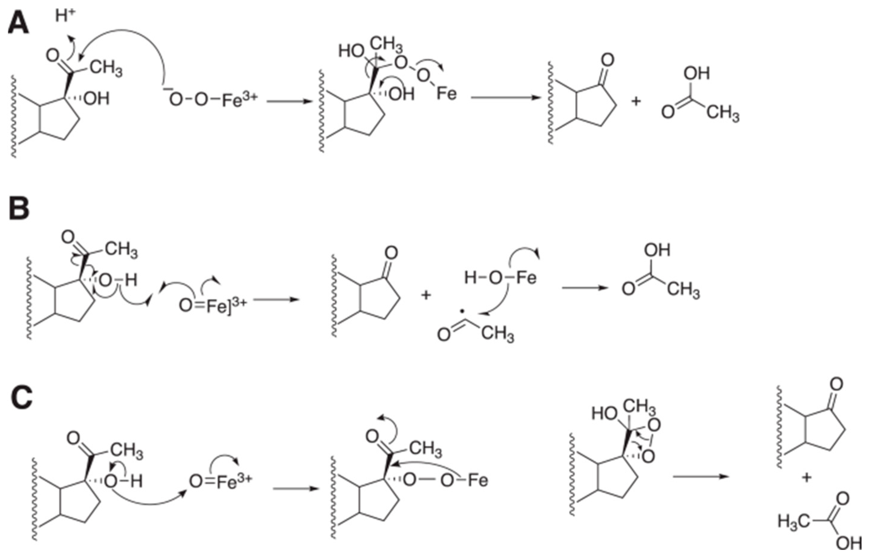 Ijms 25 09020 g016 Ijms 25 09020 g016